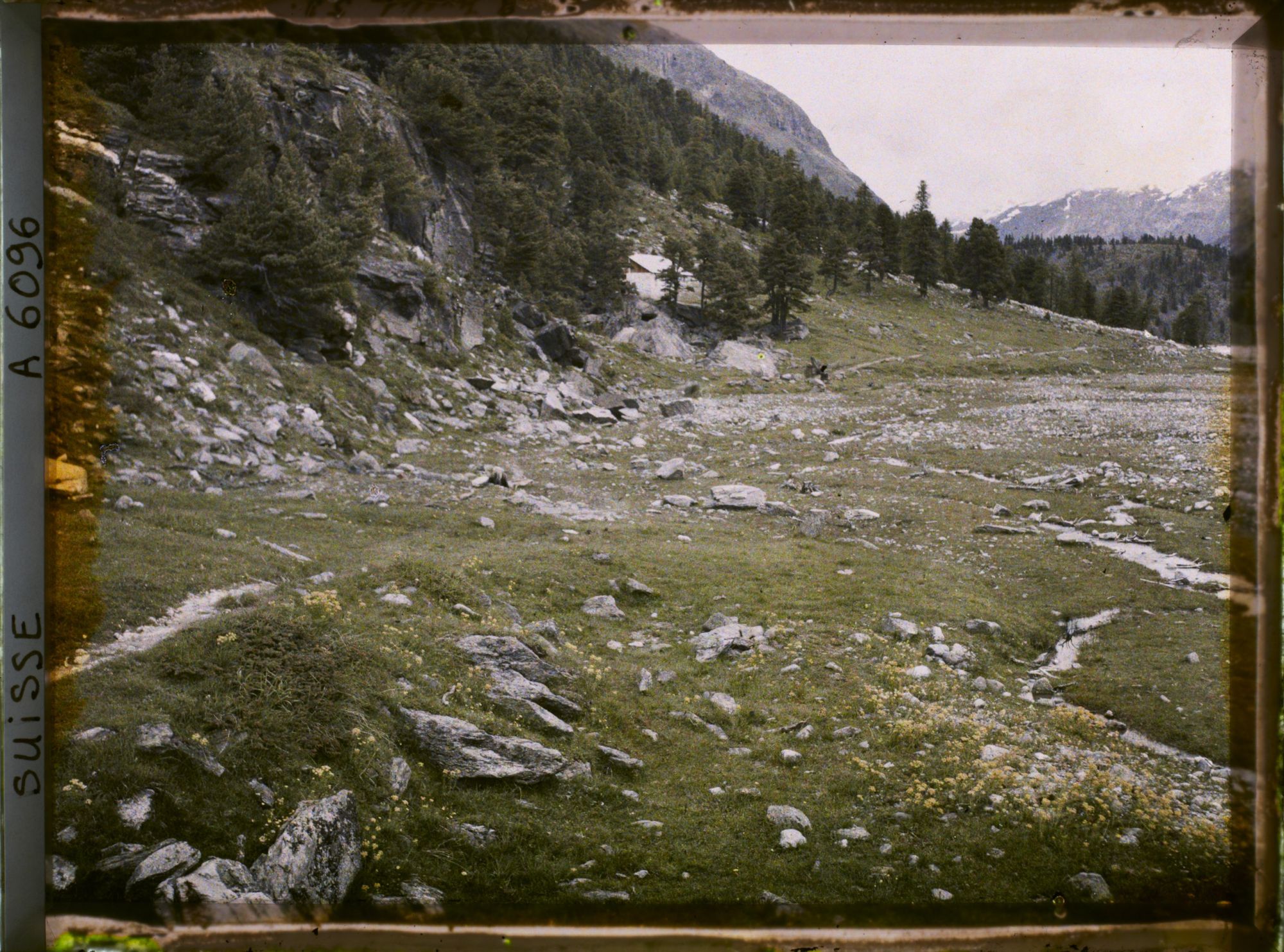 Image représentant Paysage dans la vallée de Roseg
