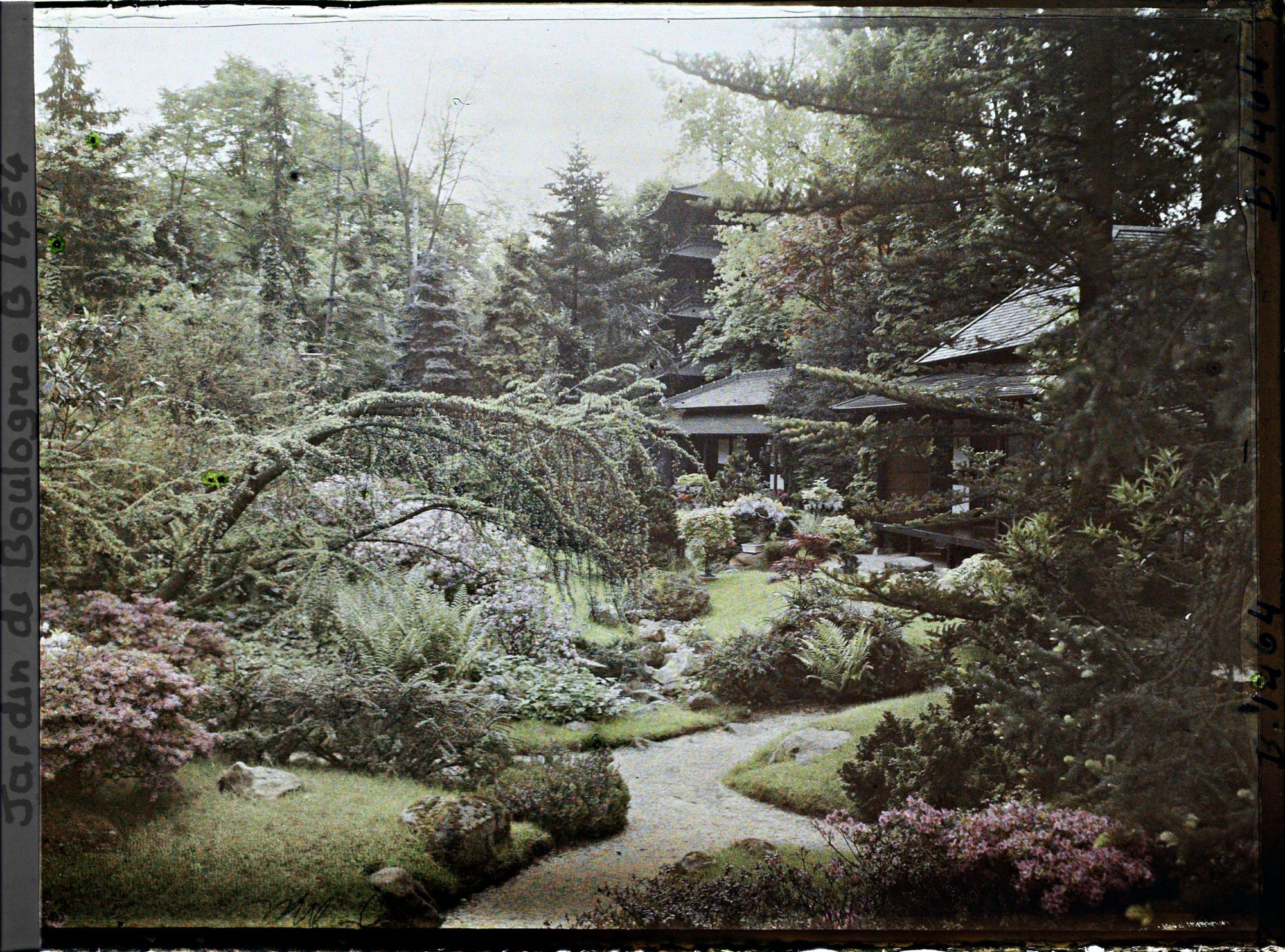 Image représentant Buissons d'azalées au croisement de chemins du " village japonais ", proche de la maison ouest