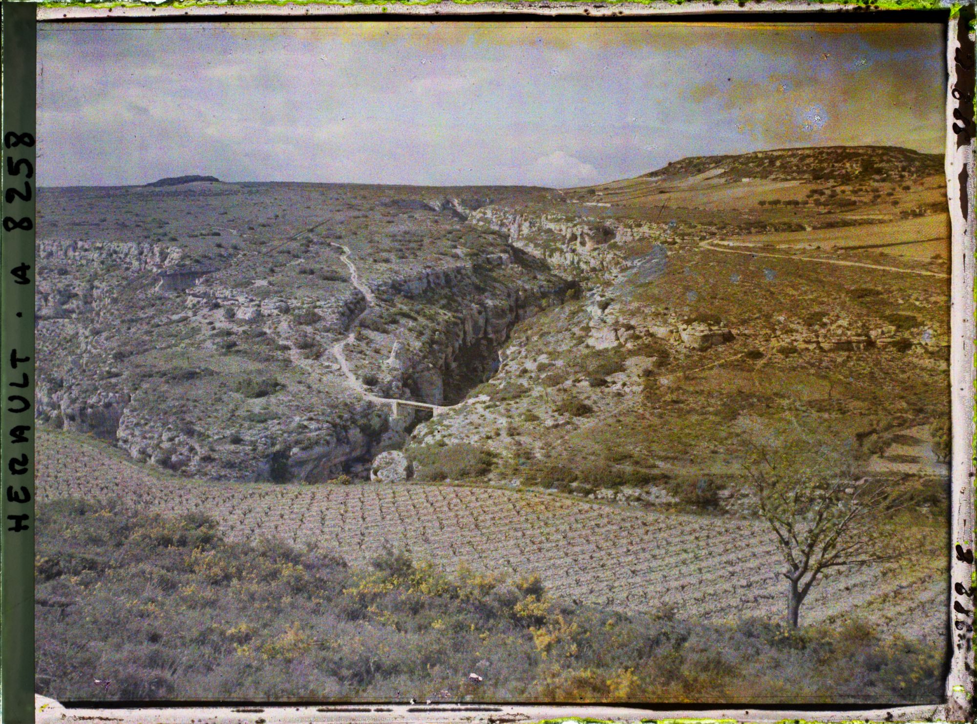 Image représentant Un coin de causse avec 2 gorges (dont la Cesse) entre Minerve et Caunette