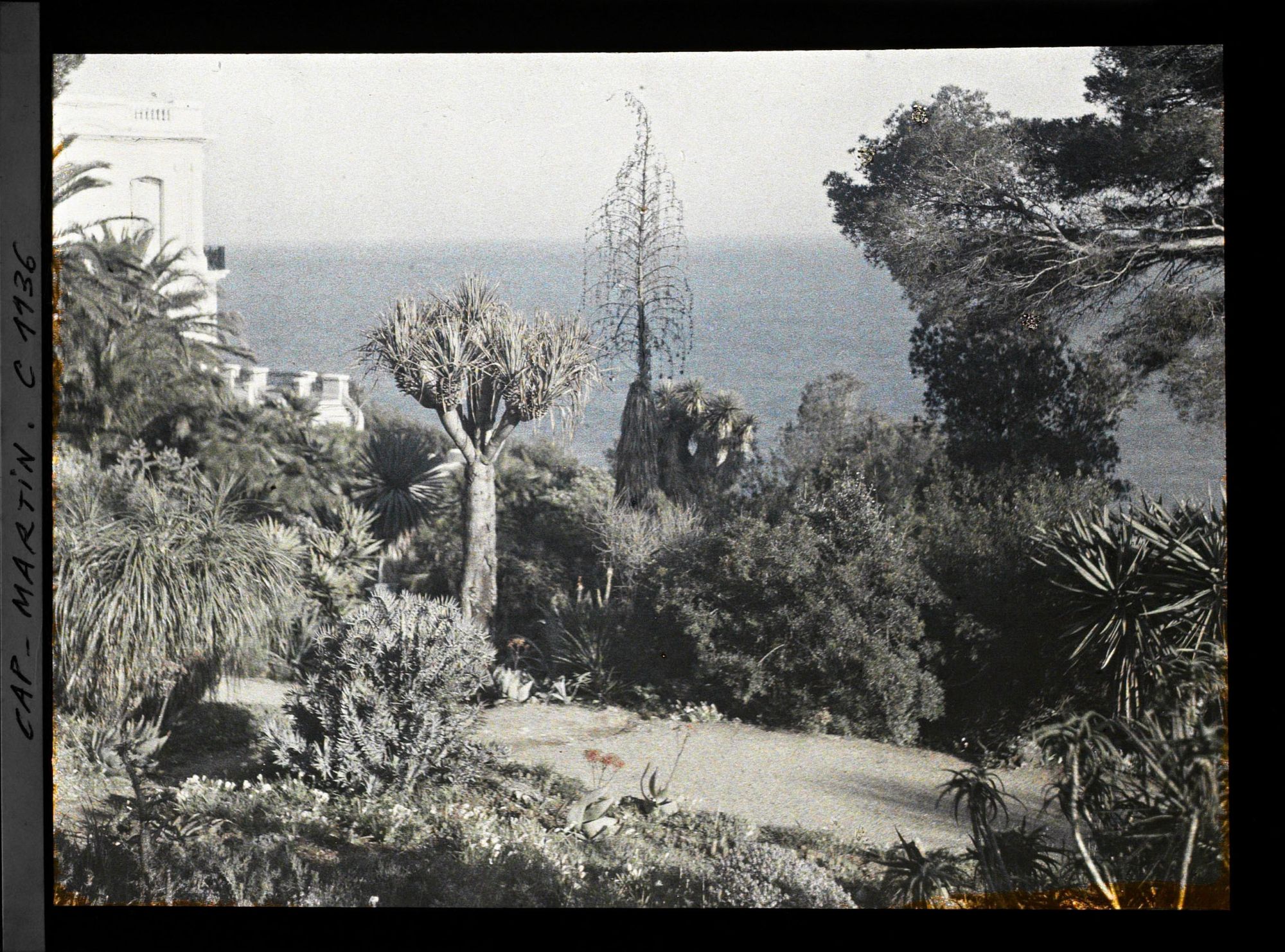 Image représentant le Jardin la Villa