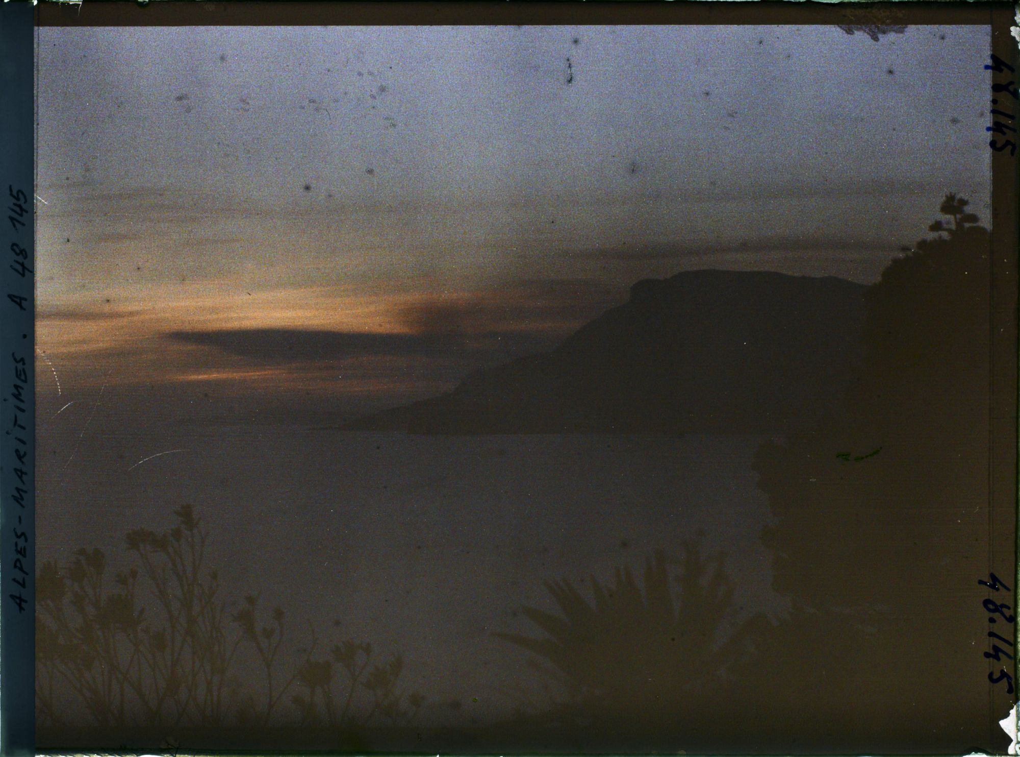 Image représentant Végétation se découpant à contre-jour dans le coucher de soleil, vue en direction de Monaco