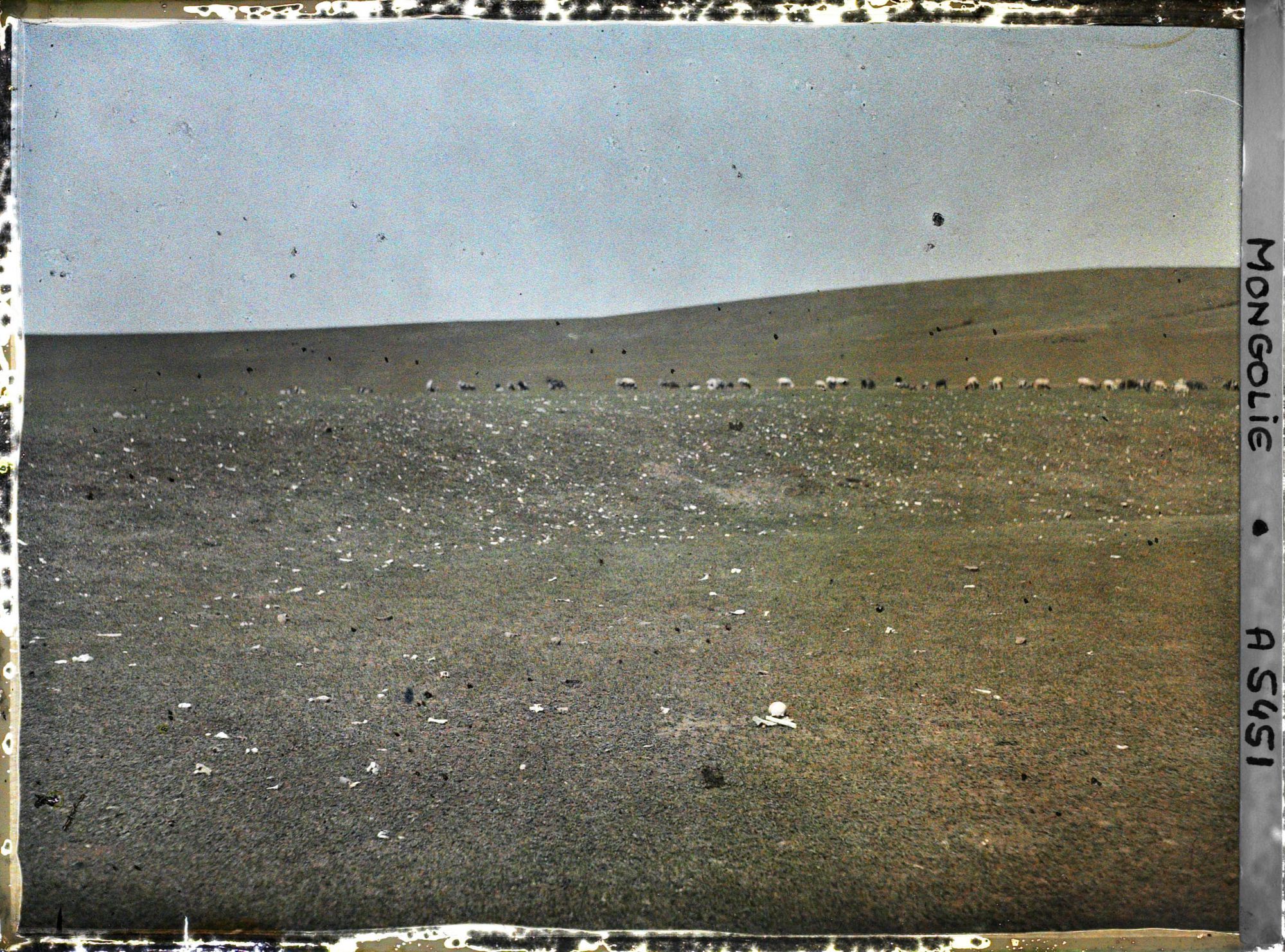 Image représentant Des restes humains dans la steppe