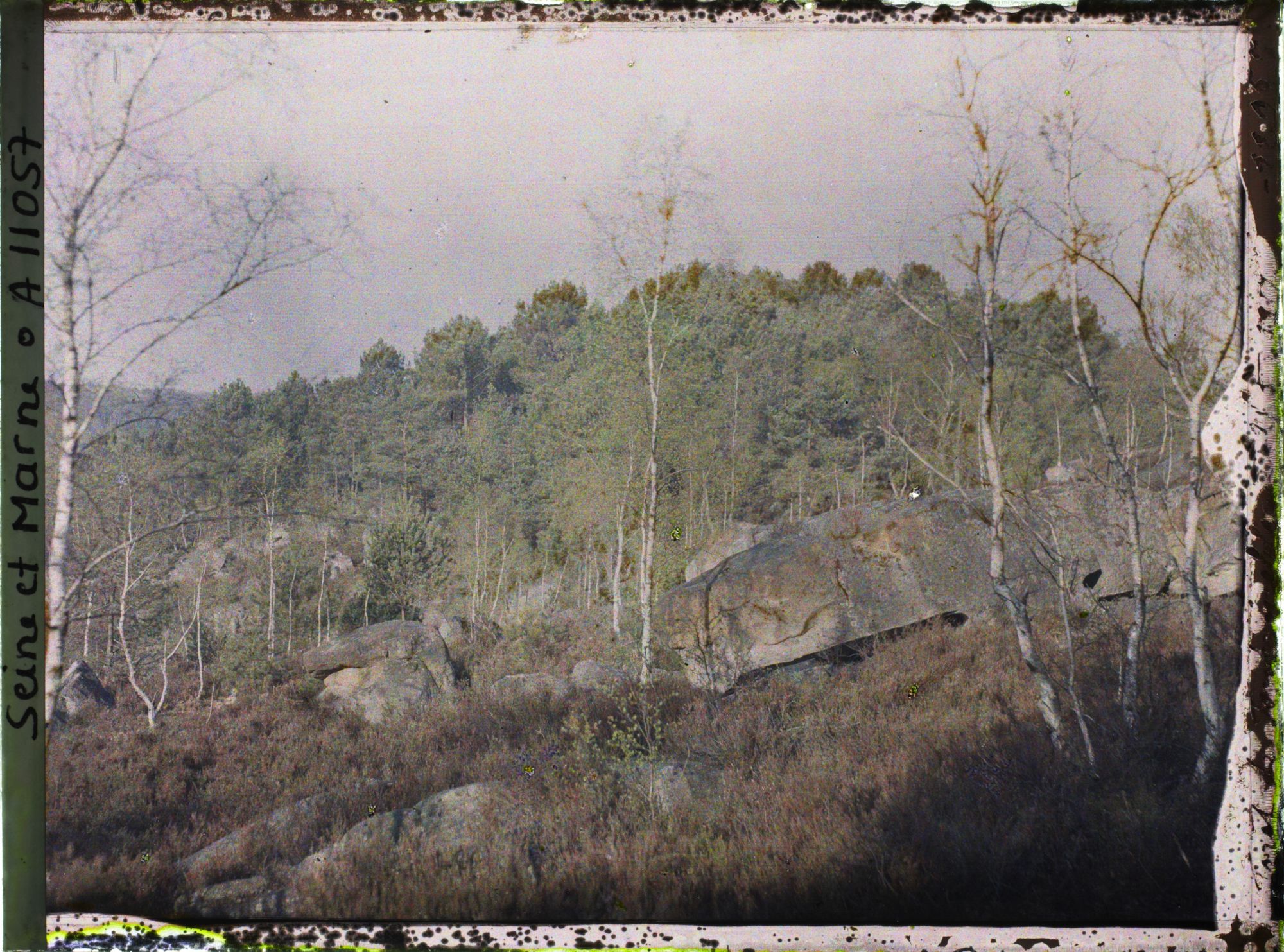 Image représentant France, Fontainebleau, Forêt de Fontainebleau