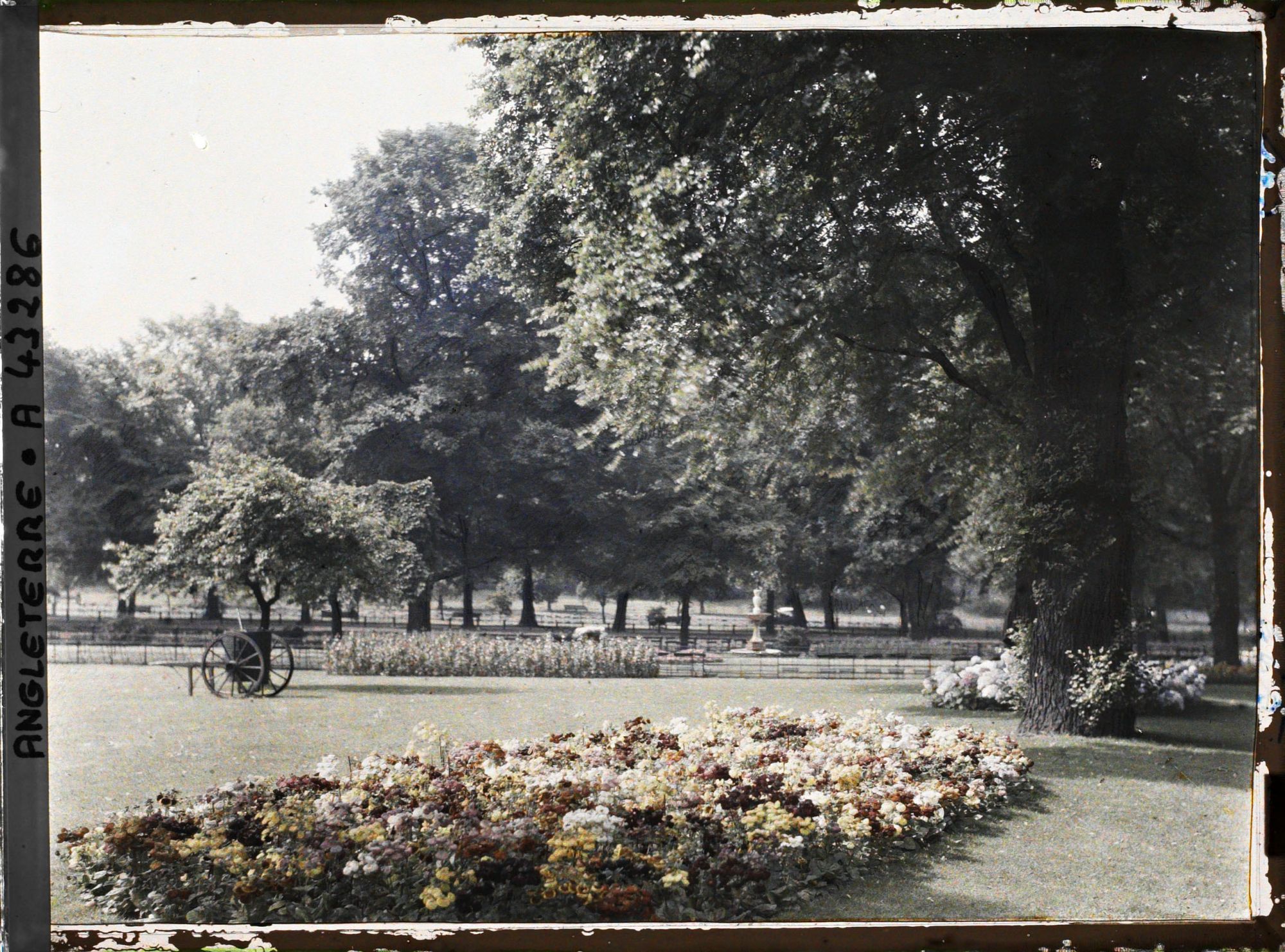 Image représentant Vues diverses d'Hyde Parc les jardins