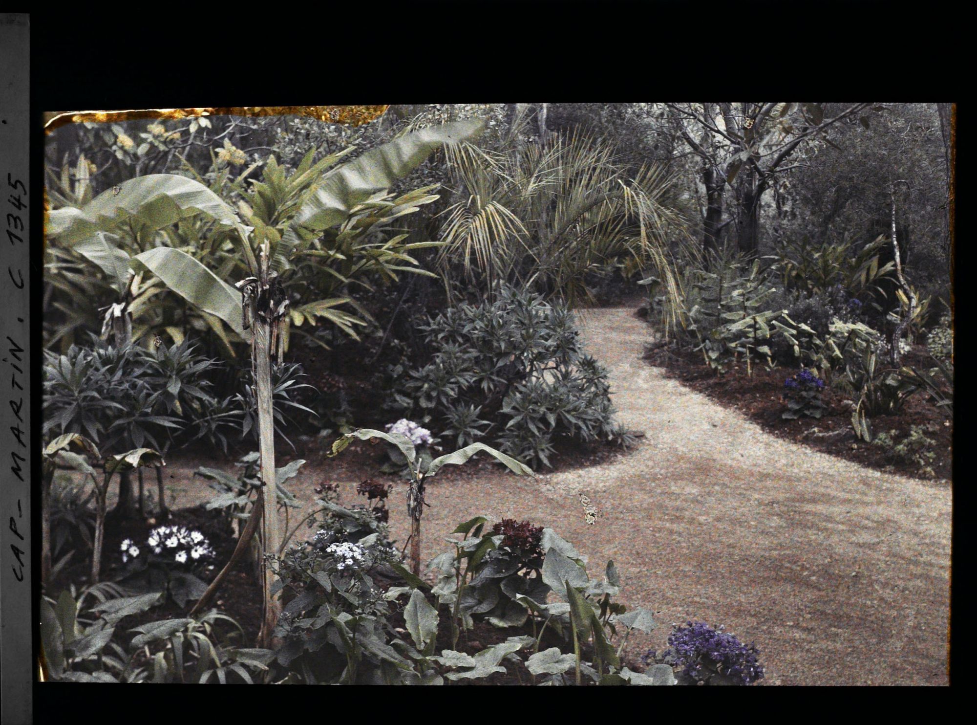 Image représentant Allée de jardin, terre rouge