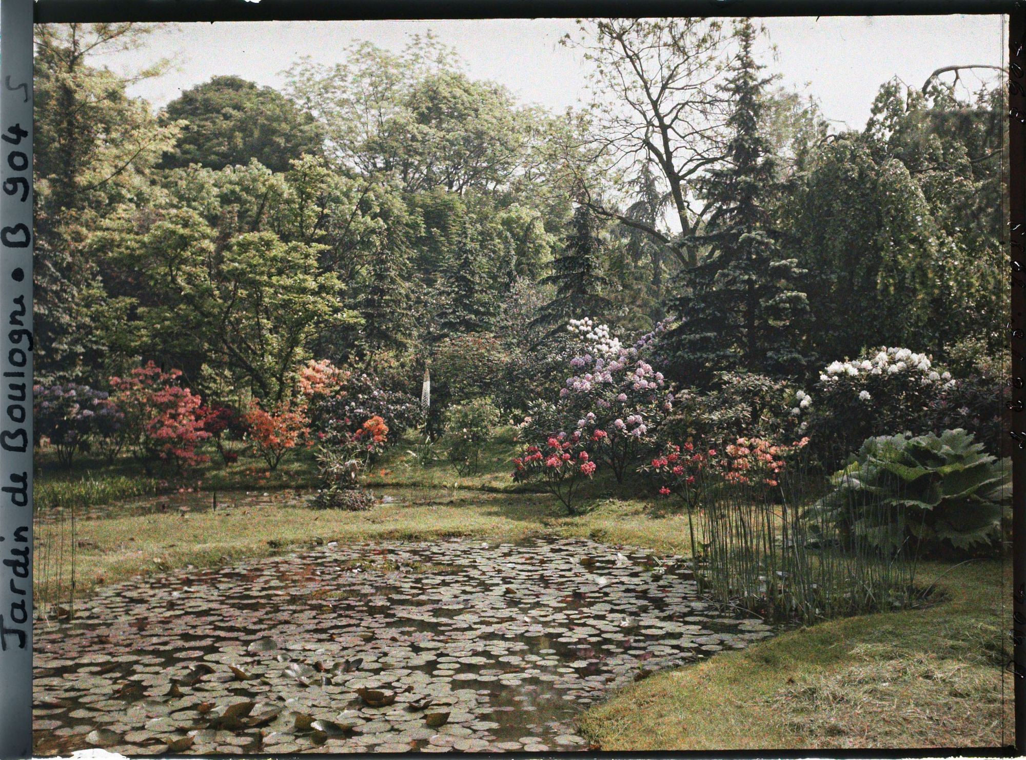 Image représentant Les " étangs " du marais dans leur écrin fleuri, vus en direction du nord-est