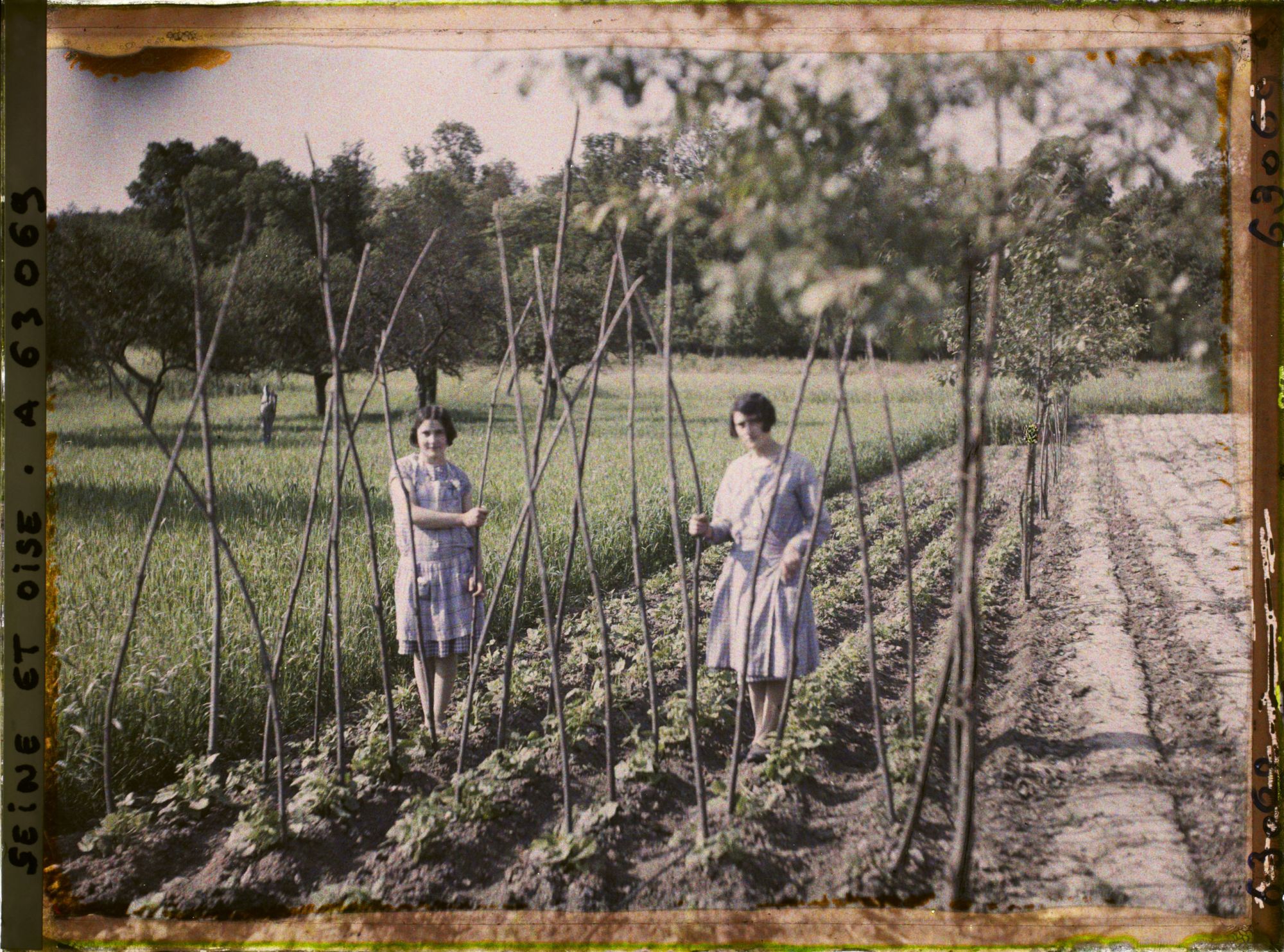 Image représentant Ile de France, Vaux, Jeunes filles ramant des haricots