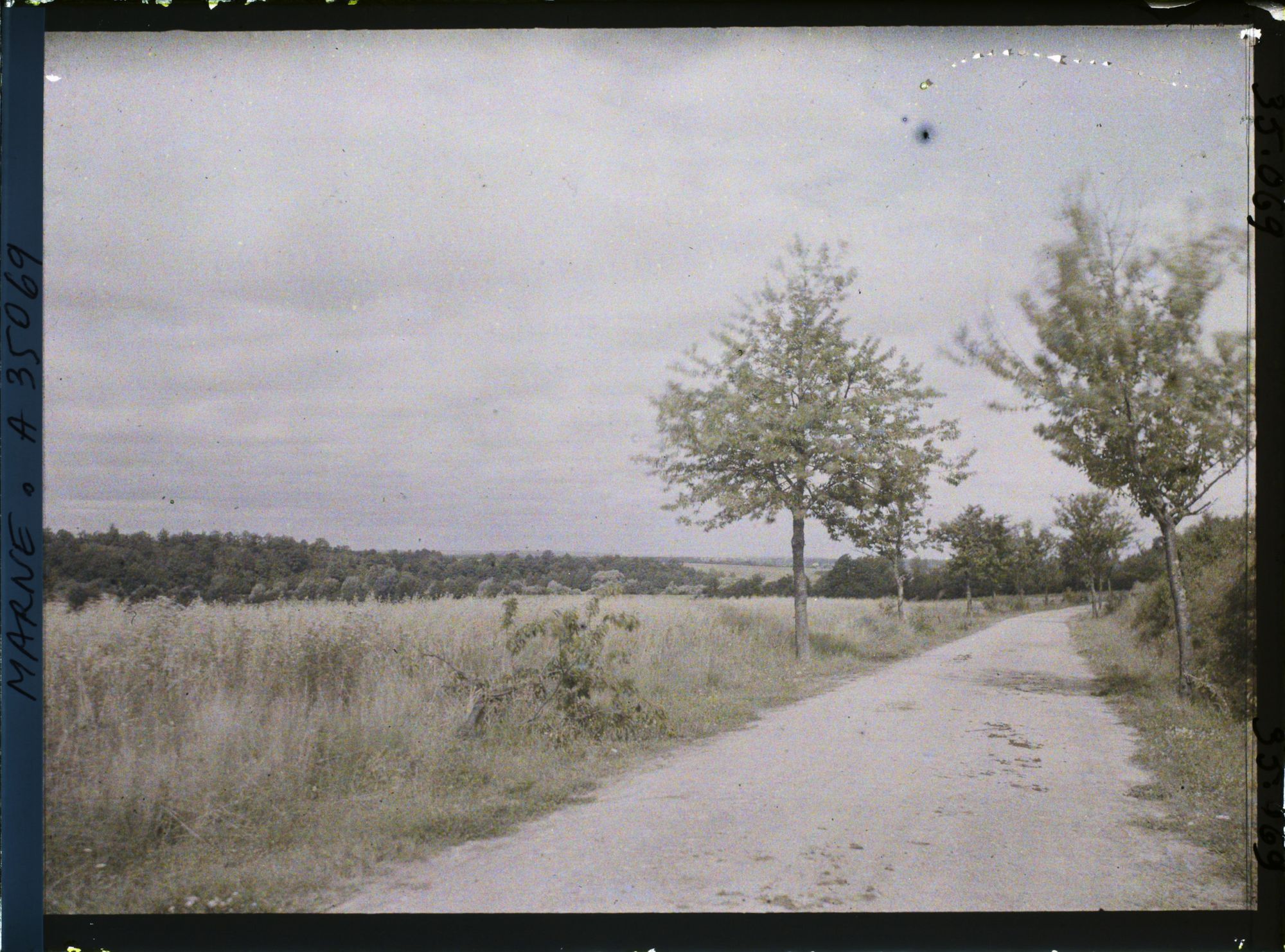 Image représentant France, St Thomas (Marne), Route de Servon à St Thomas