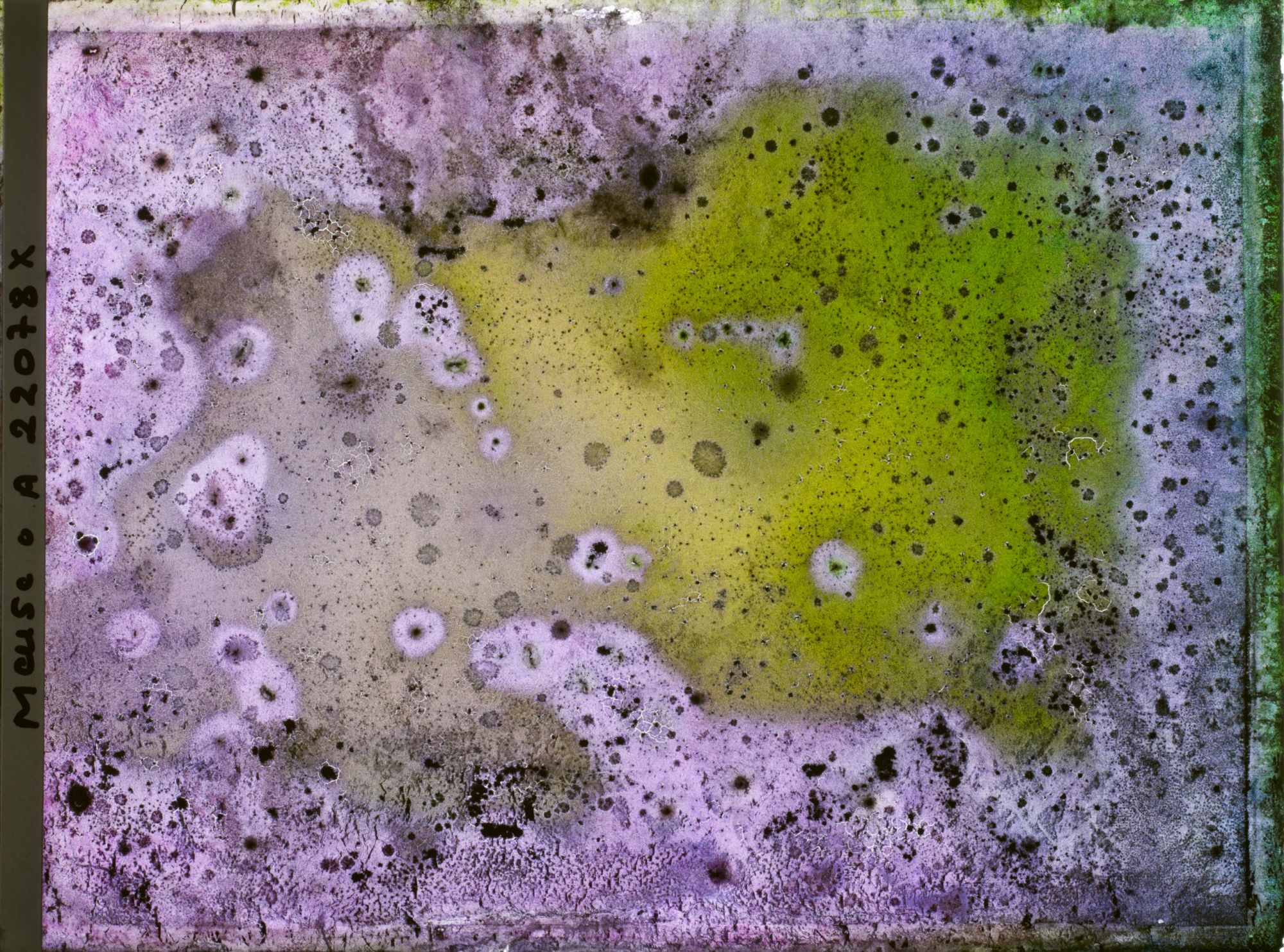 Image représentant Image illisible, plaque endommagée par l'eau (altérations d'époque)