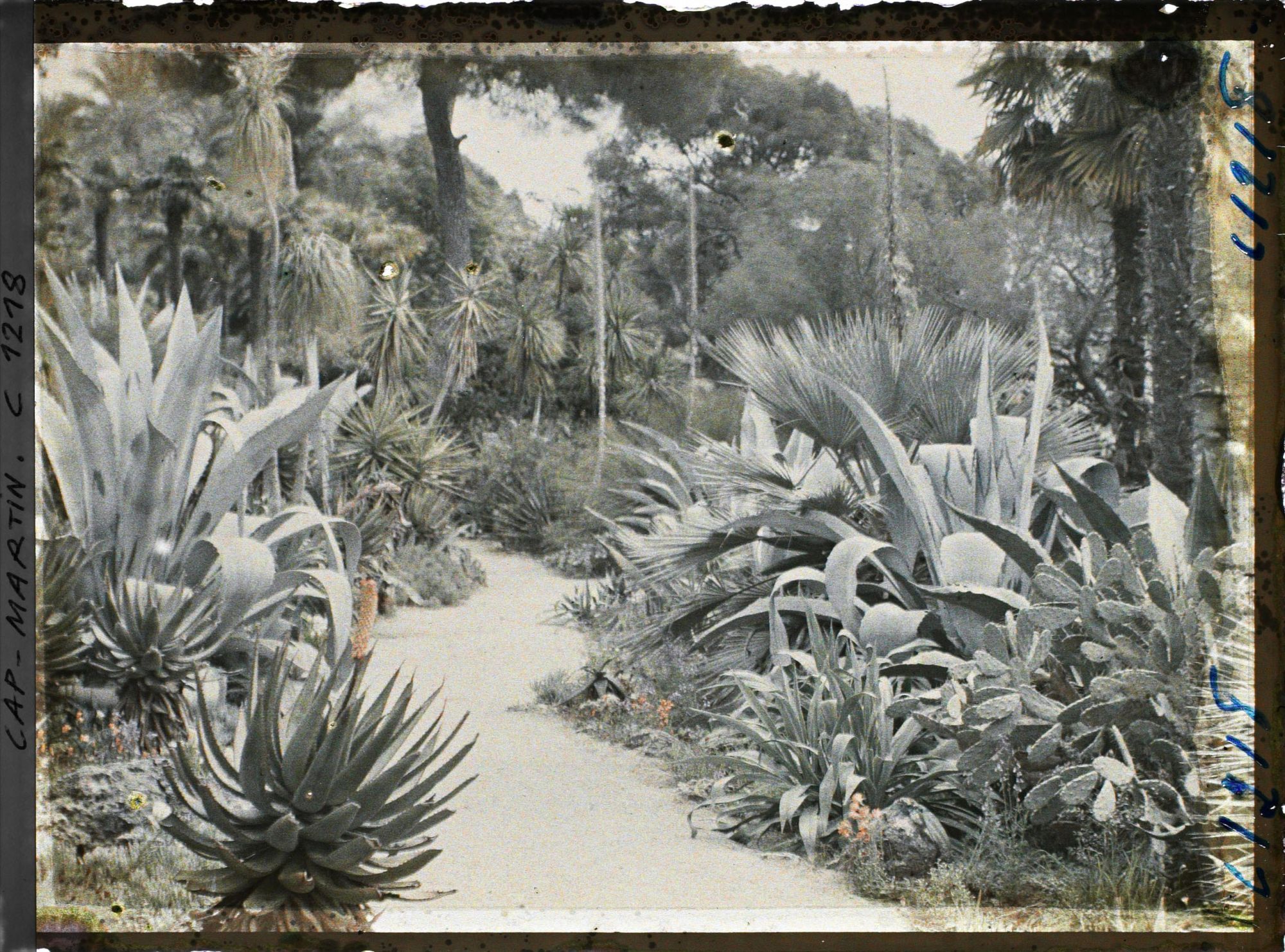 Image représentant coucher de Soleil