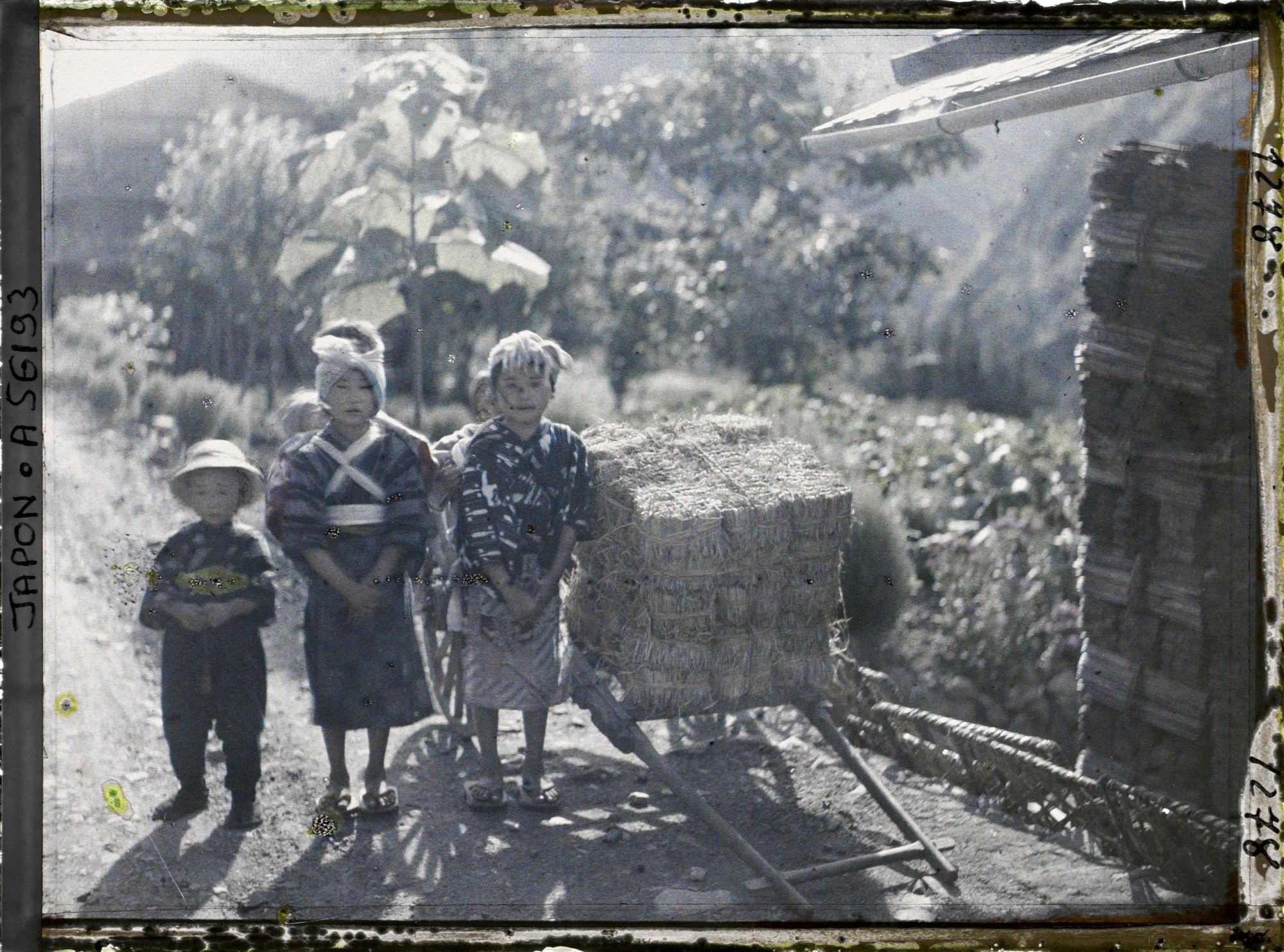 Image représentant Charrette de paillons pour la formation des cocons de soie