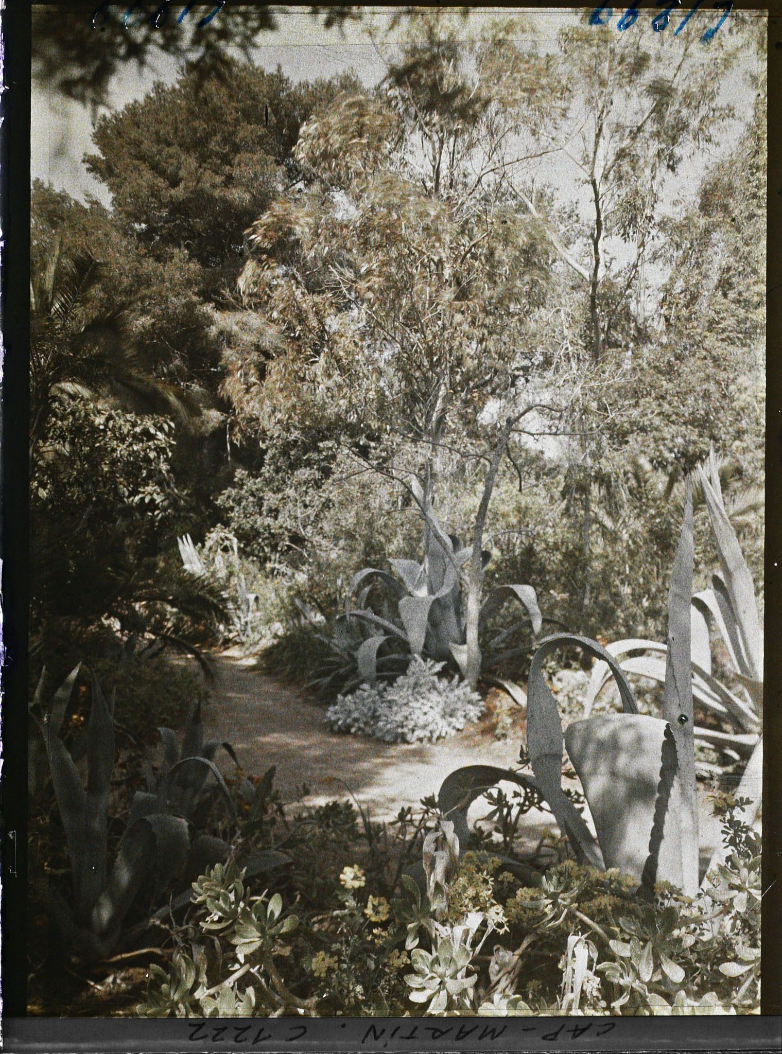 Image représentant le Jardin