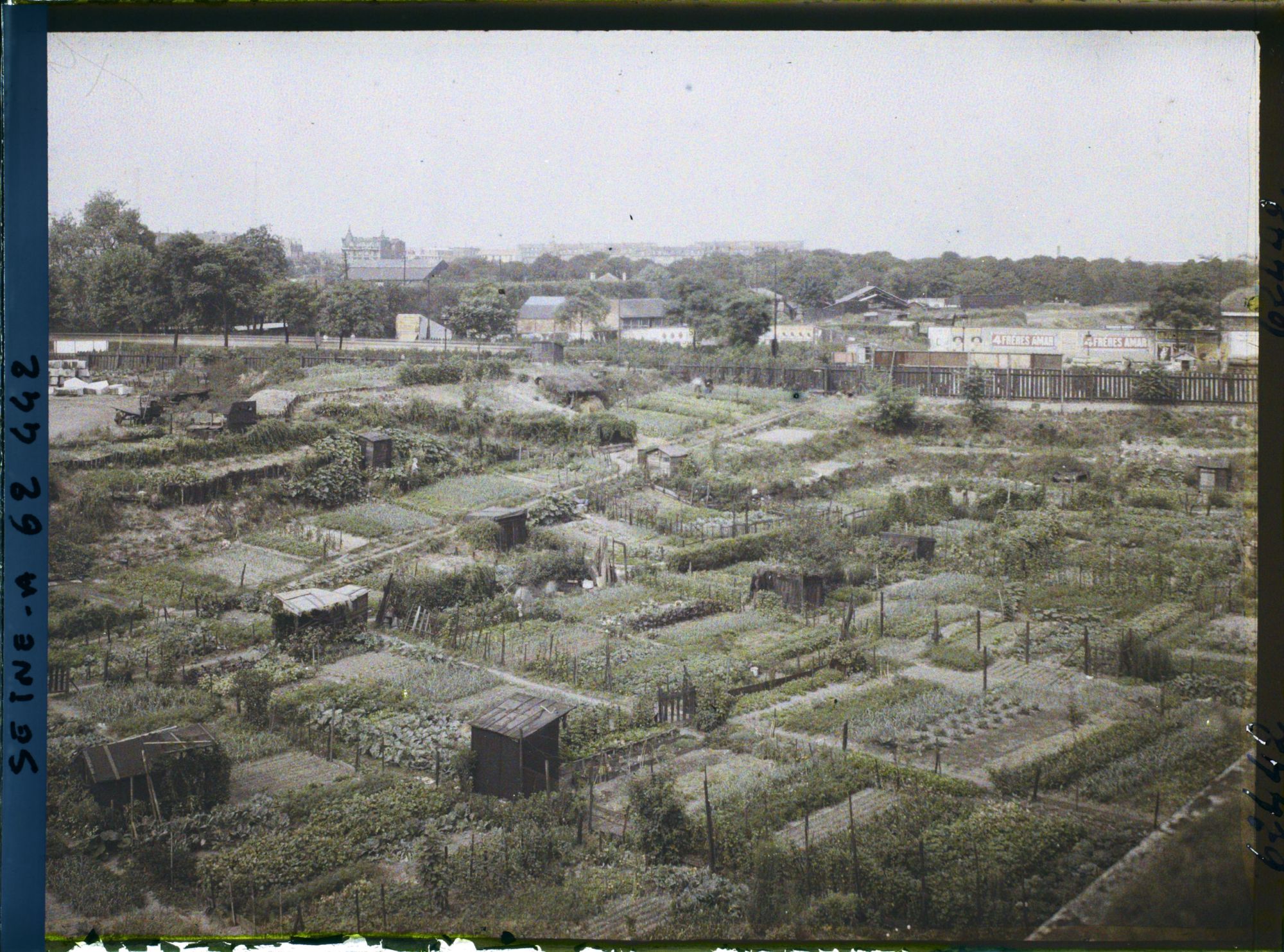 Image représentant Les jardins ouvriers dans les fossés des anciennes fortifications, porte de Clichy