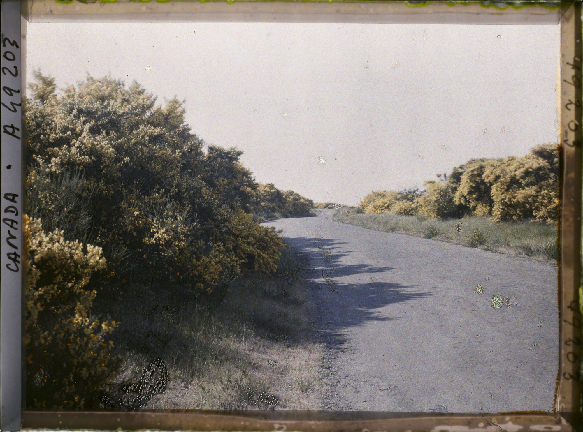 Image représentant Canada, Victoria, Beaconhill parc, autre vue