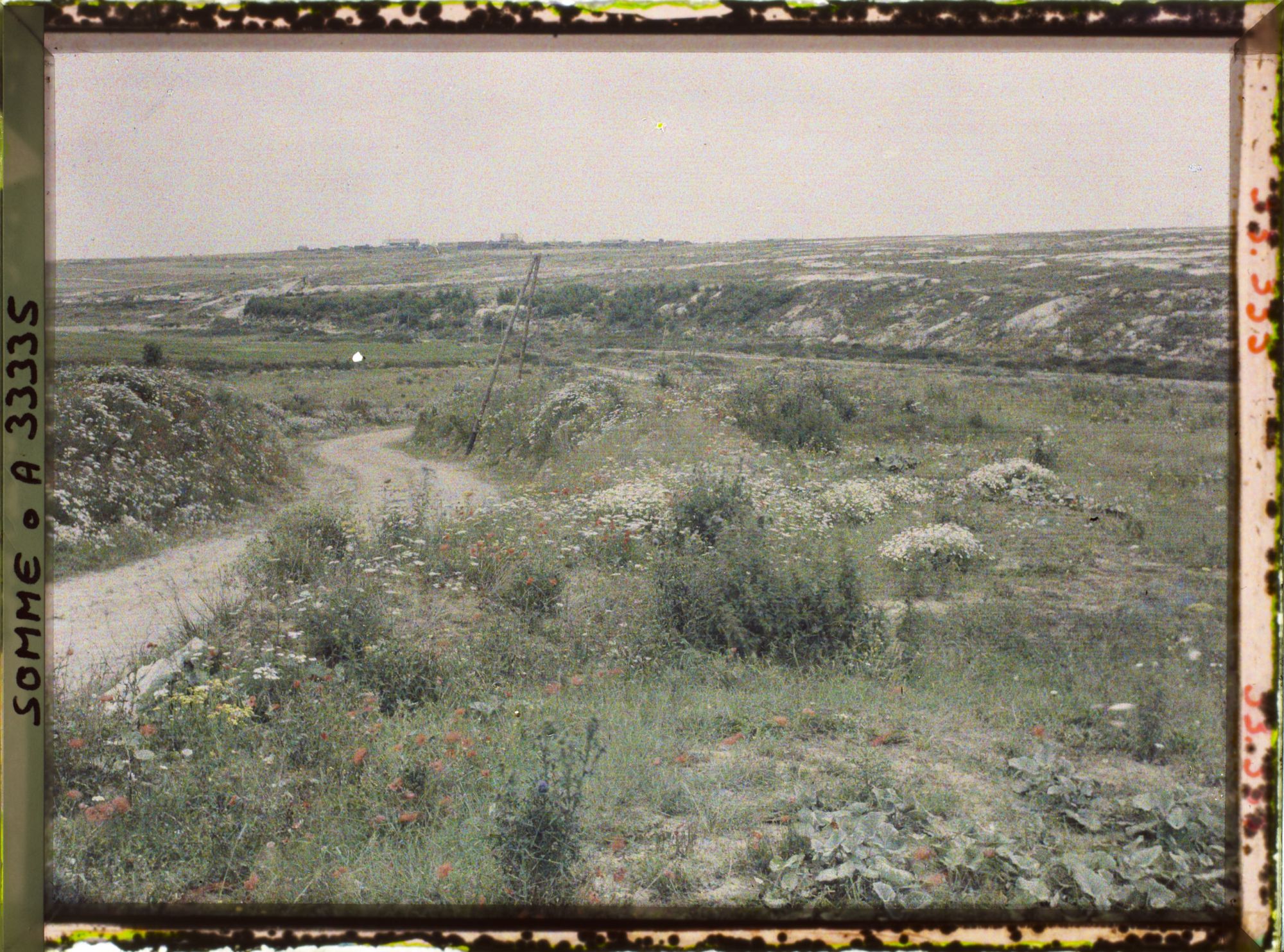 Image représentant France, Maurepas, Aspect du terrain