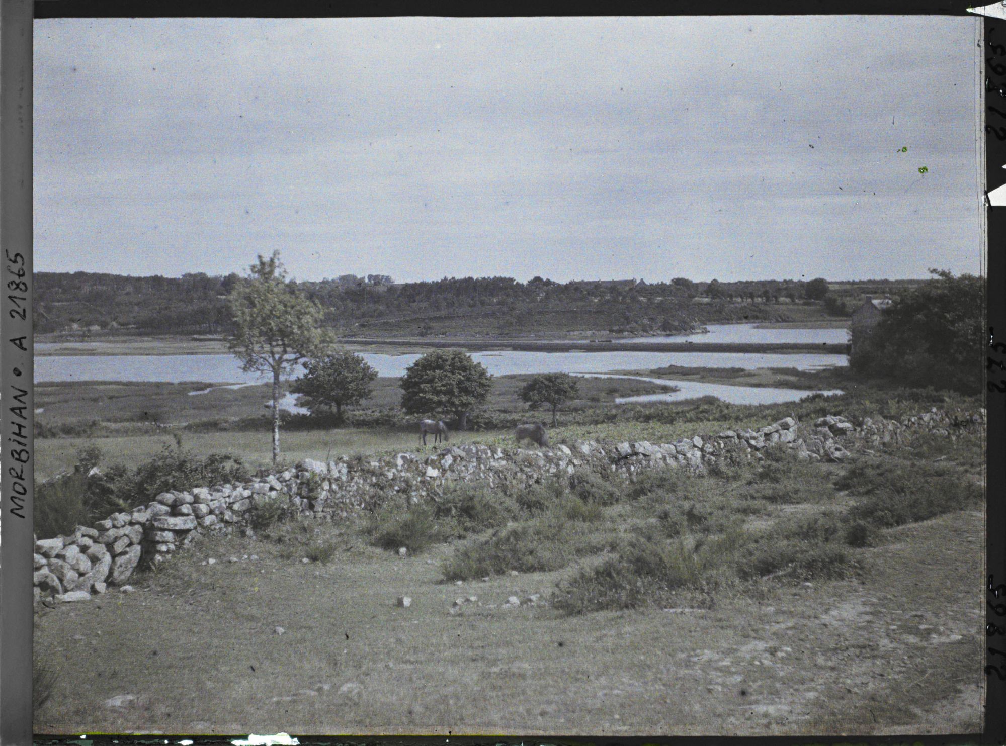Image représentant Bras de mer remontant dans les terres
