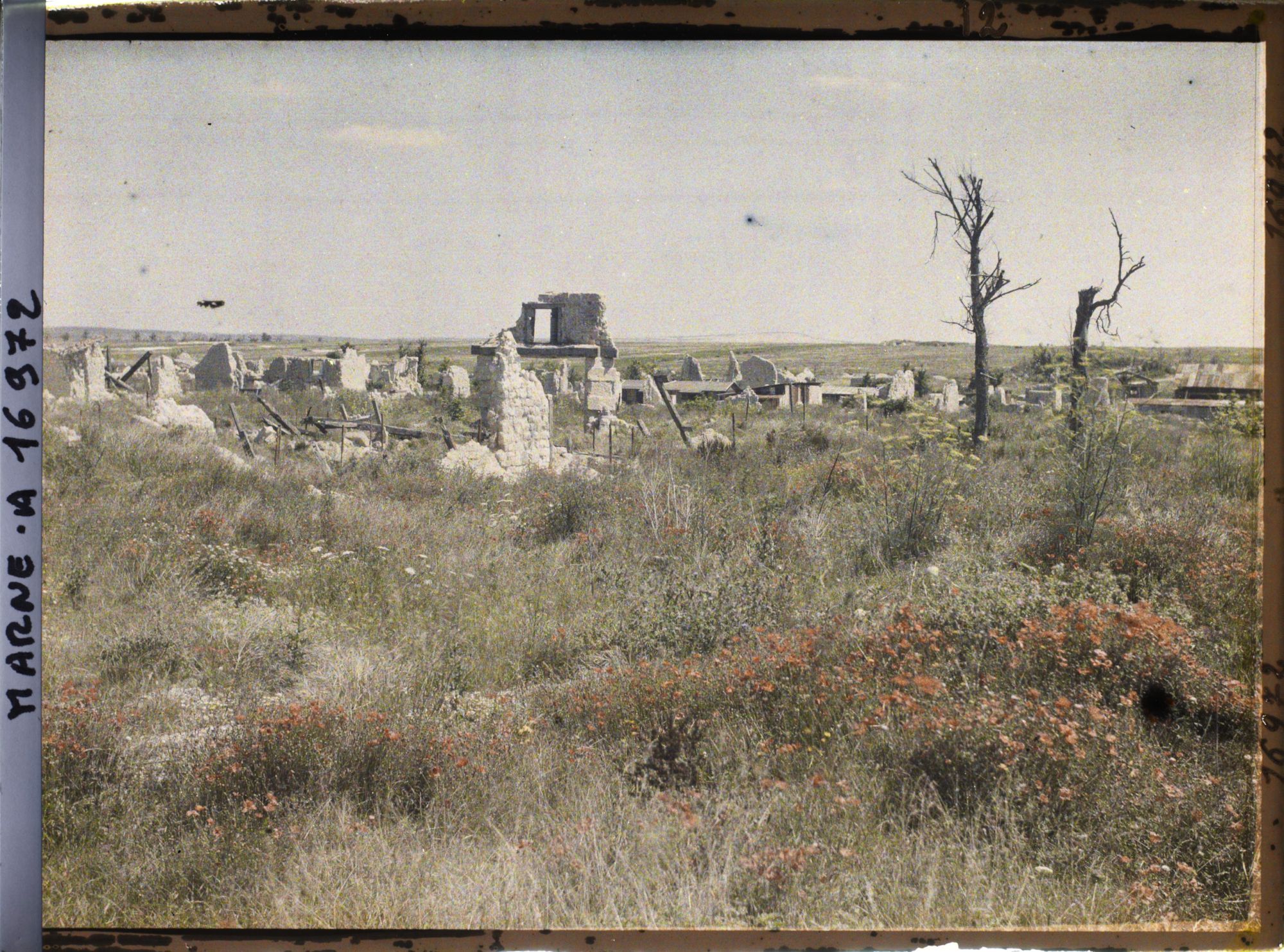 Image représentant France, Beine, Le Village de Beine Coquelicots au 1er plan