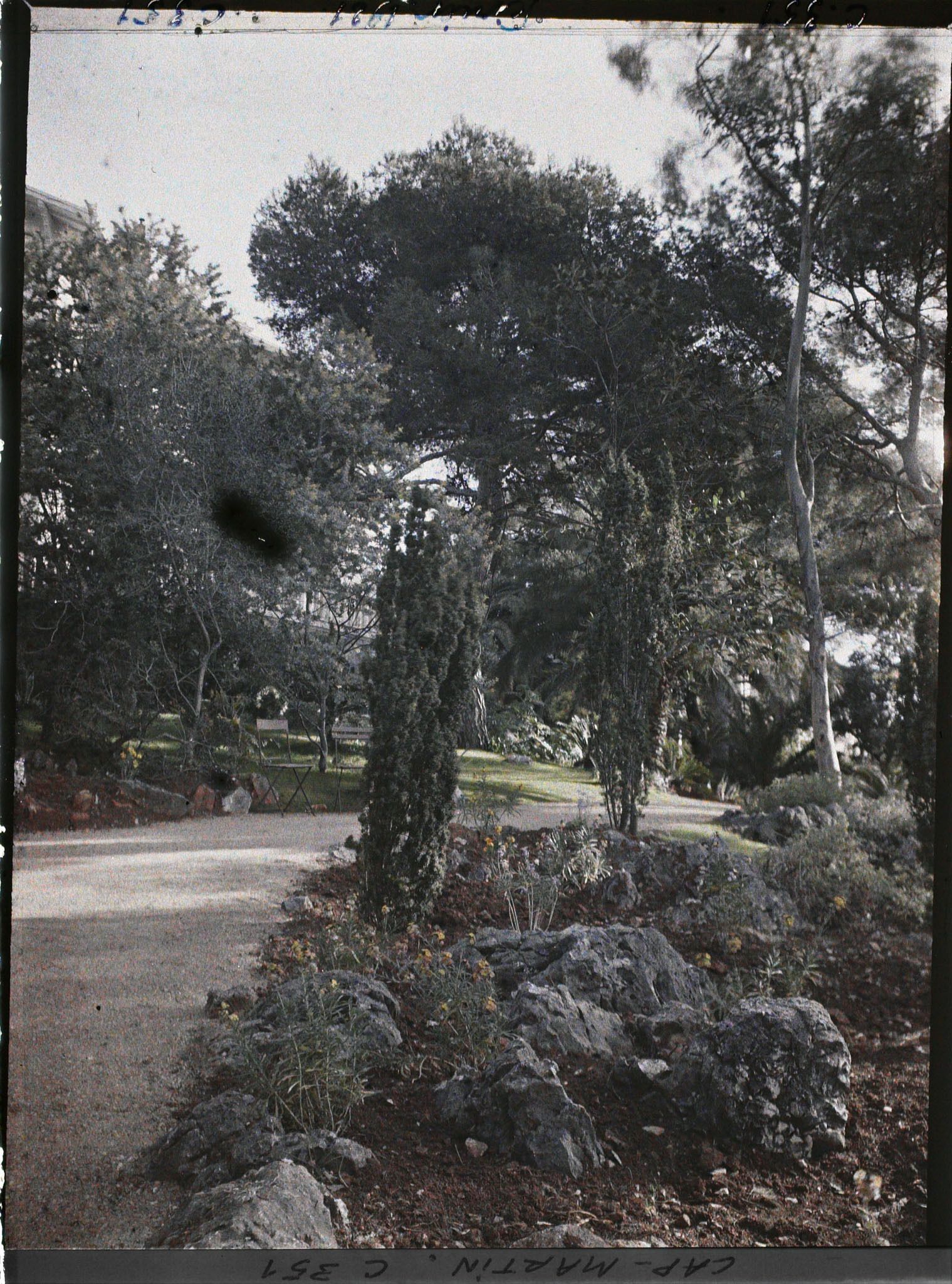 Image représentant Une allée du jardin près de la terrasse de la villa Dunure