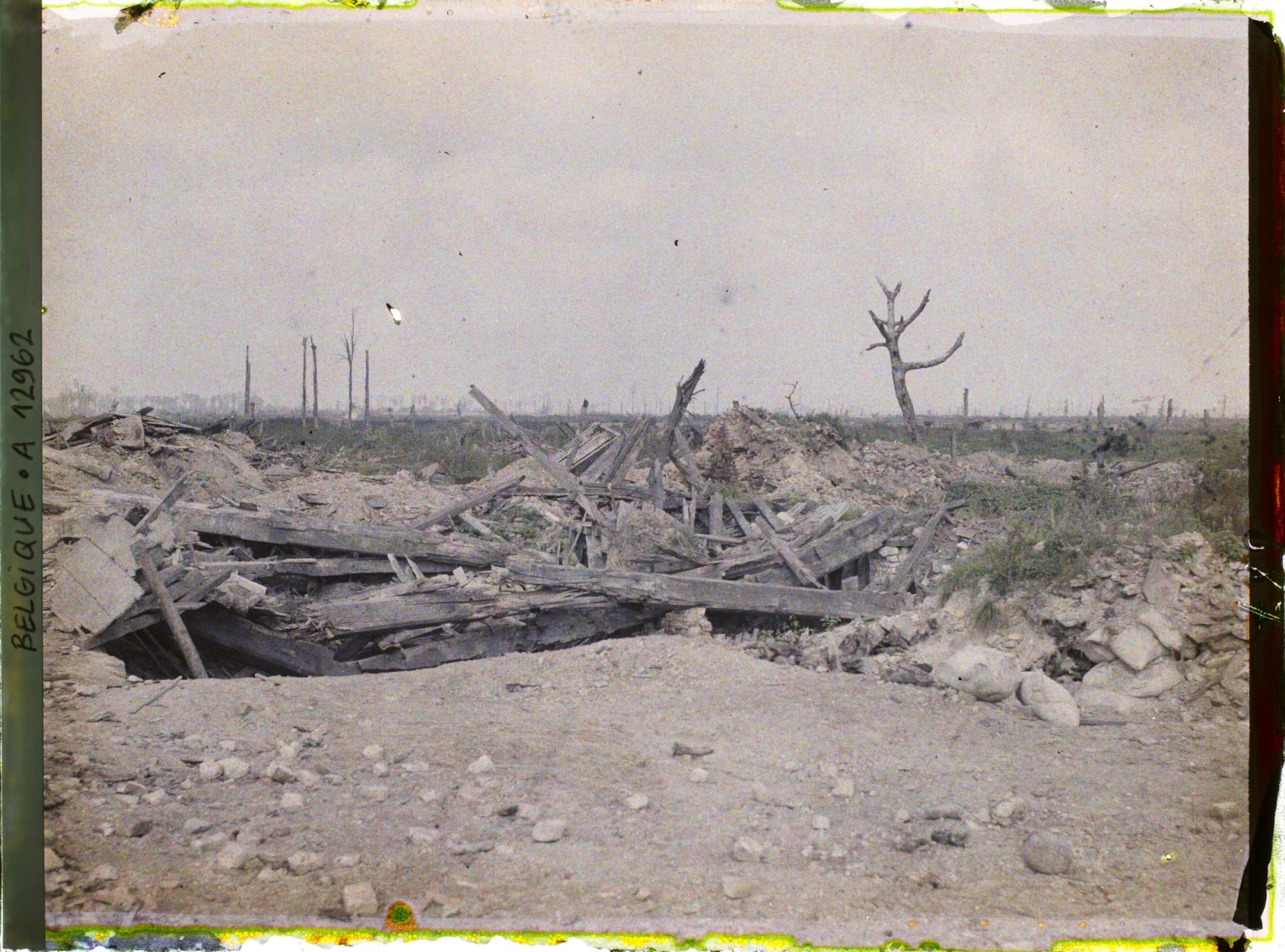Image représentant Belgique, Lizerne