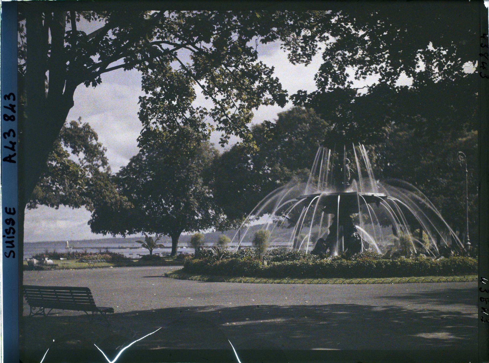 Image représentant Une fontaine dans le Jardin anglais et la rade