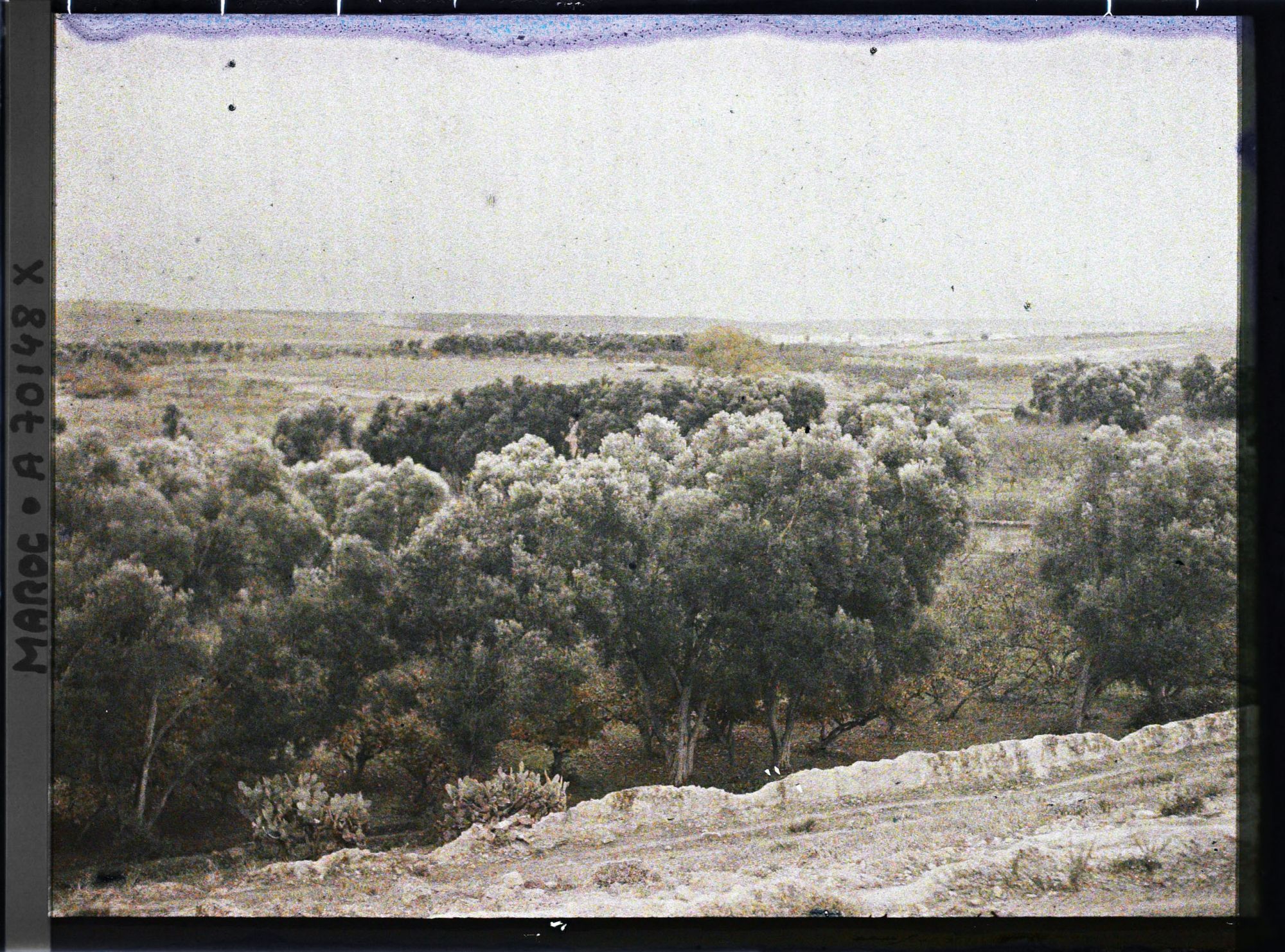 Image représentant Paysage