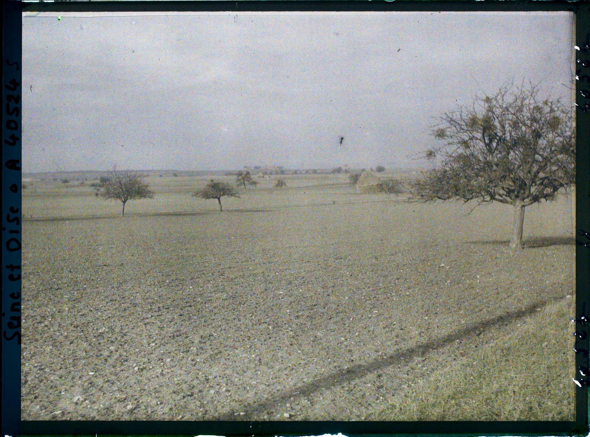 Image représentant France, Les Clayes, Champ de blé ensemencé