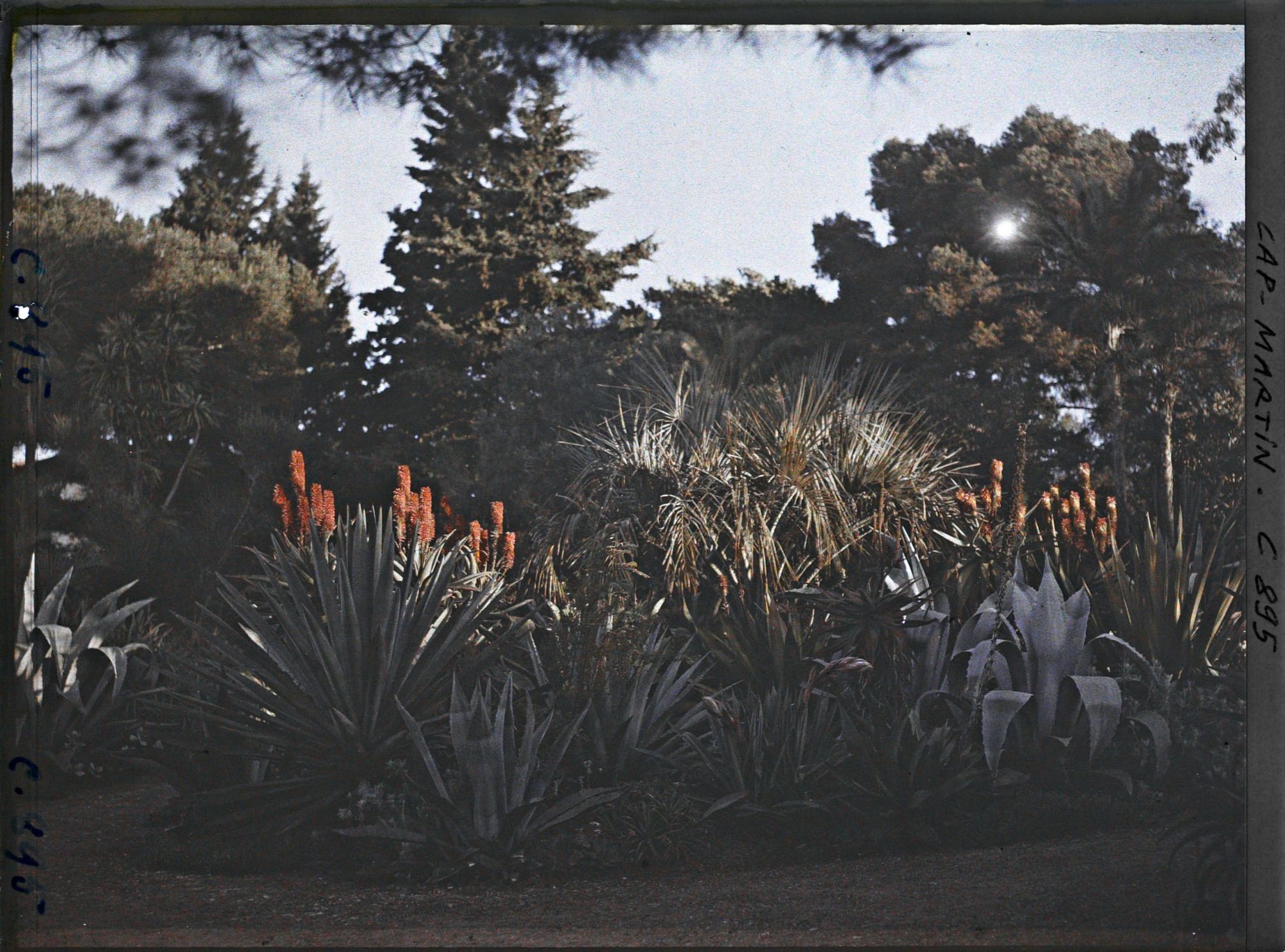 Image représentant Le Jardin au Soleil levant