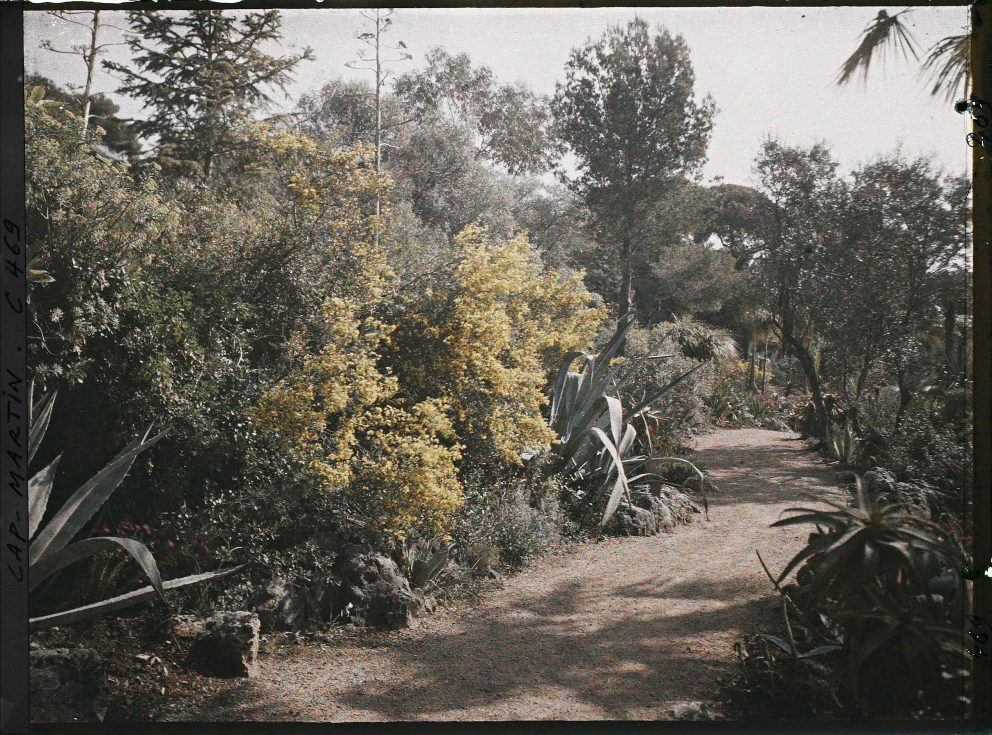 Image représentant Cap Martin Le Jardin