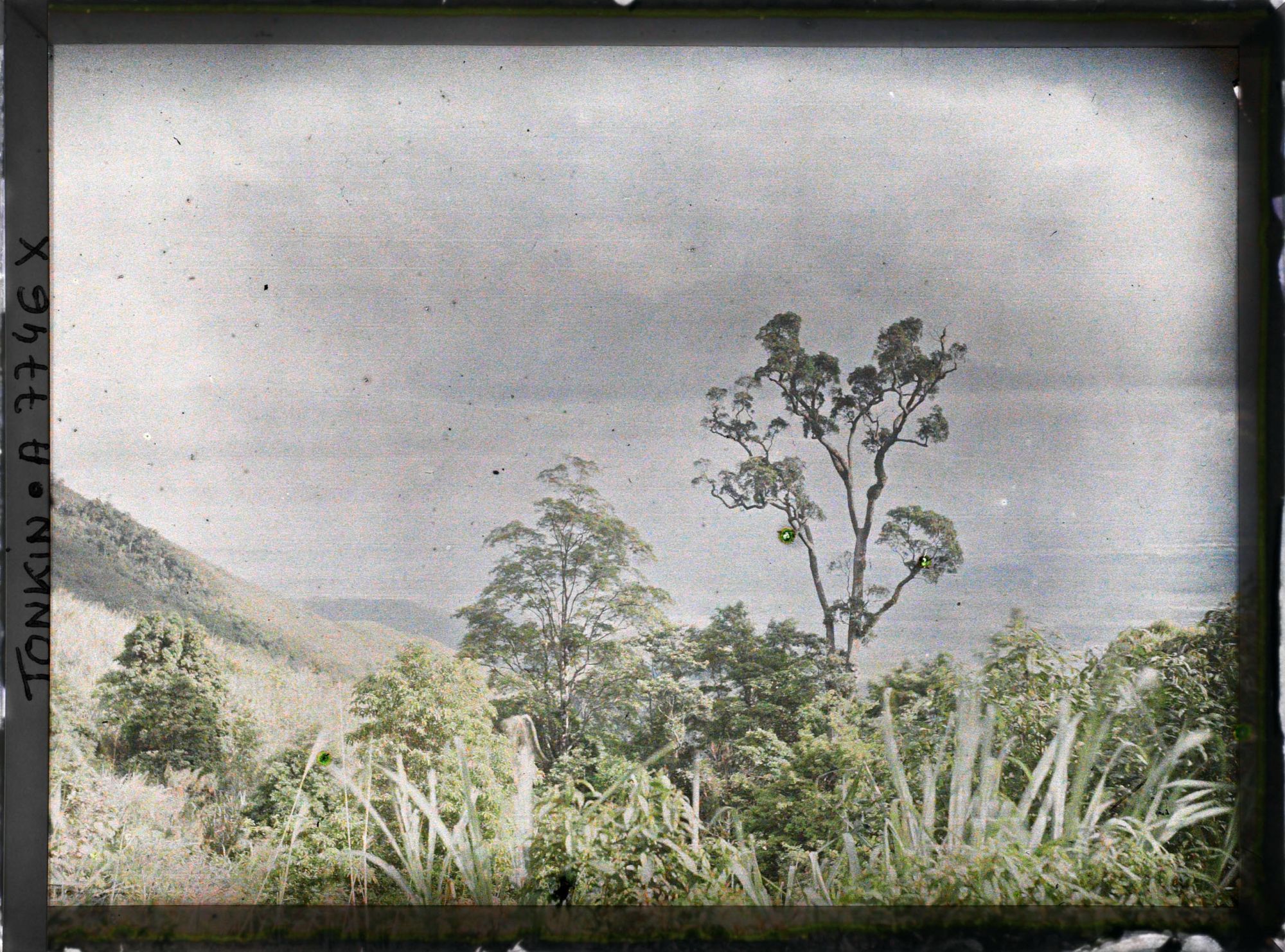 Image représentant Un paysage pris du massif du Tam-dao (" Trois Sommets ")