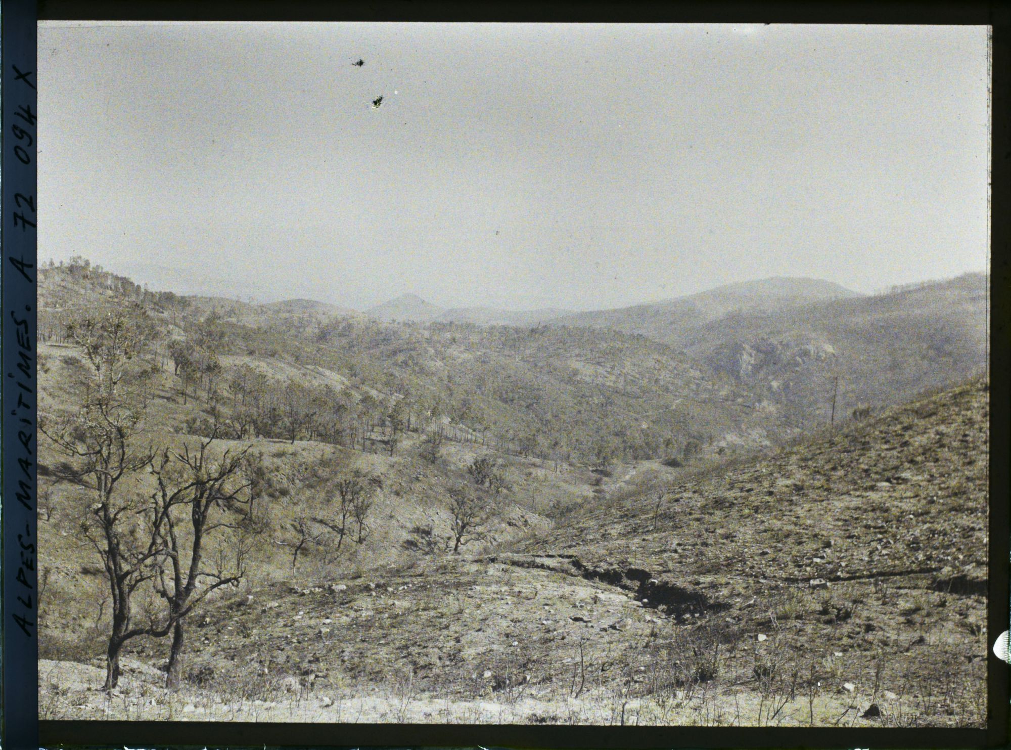 Image représentant Paysage montagneux après un incendie