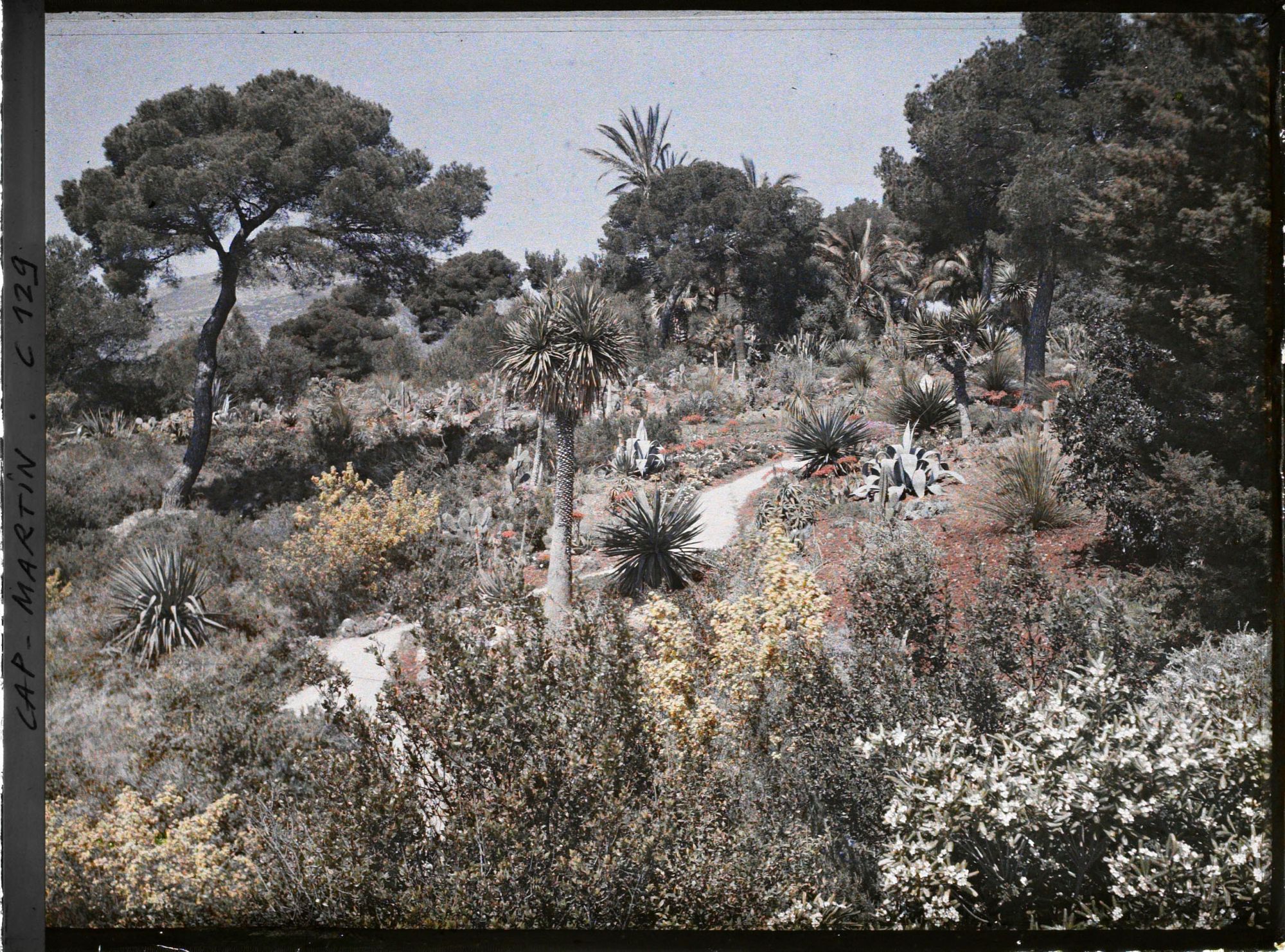 Image représentant Le jardin