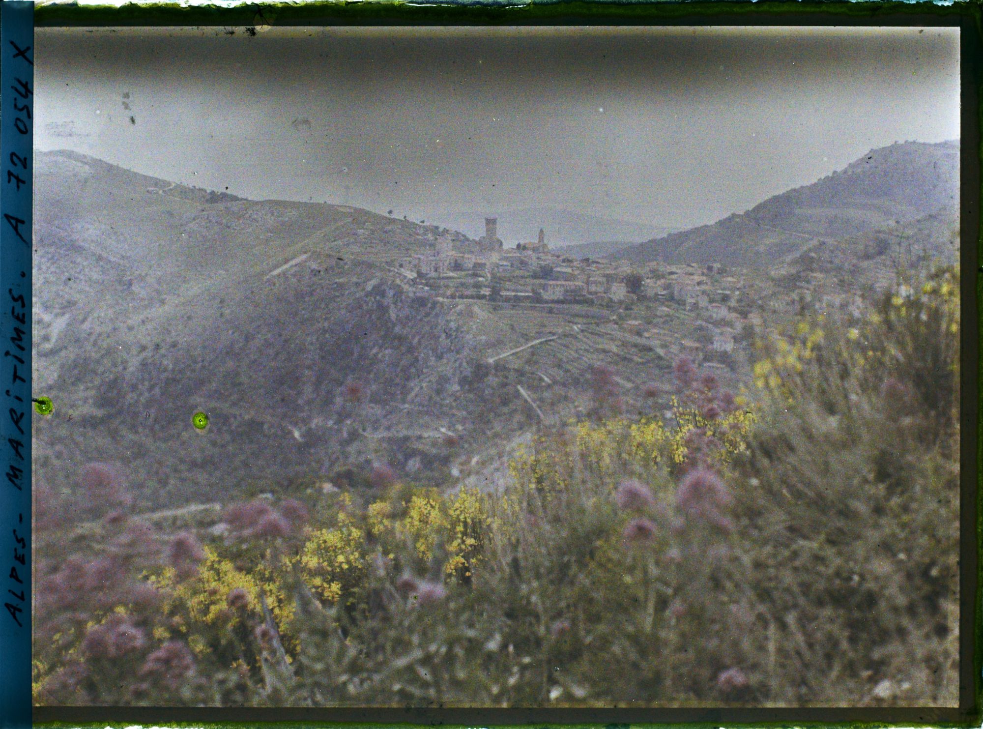 Image représentant Vue de la ville depuis un champs de fleurs