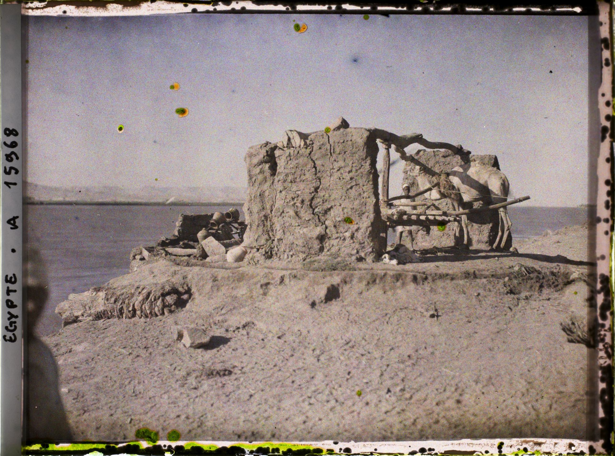 Image représentant Sakiéh à bœuf au bord du Nil