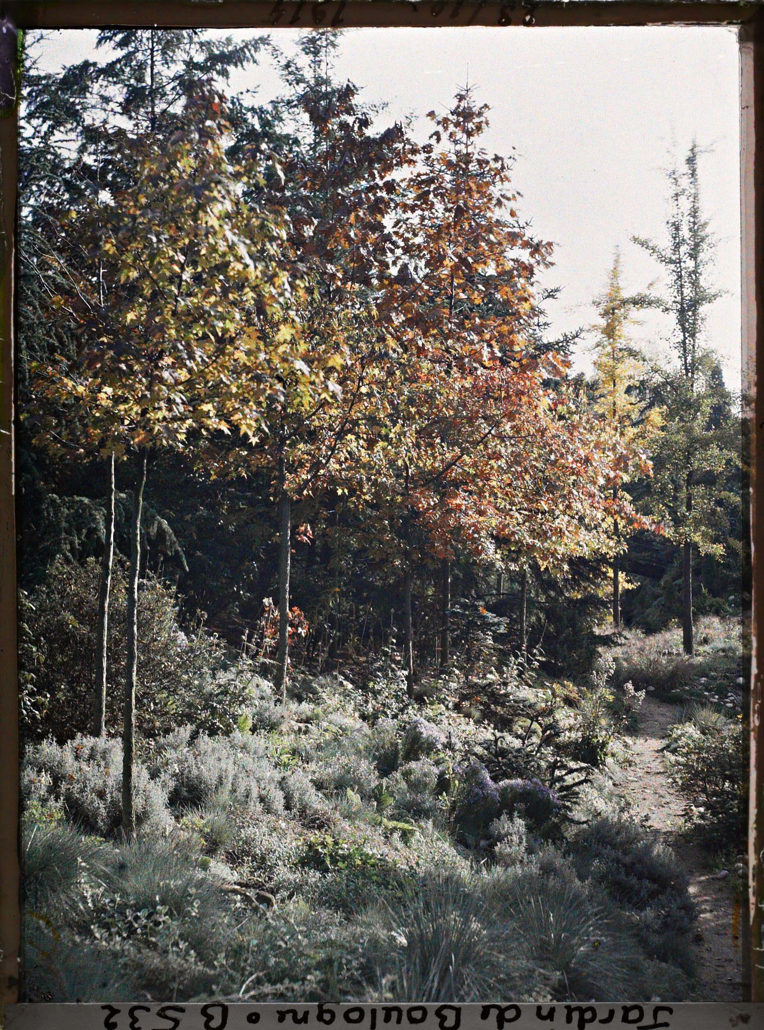 Image représentant Jonction de chemins menant au sôrintô et à un pont du " sanctuaire japonais "