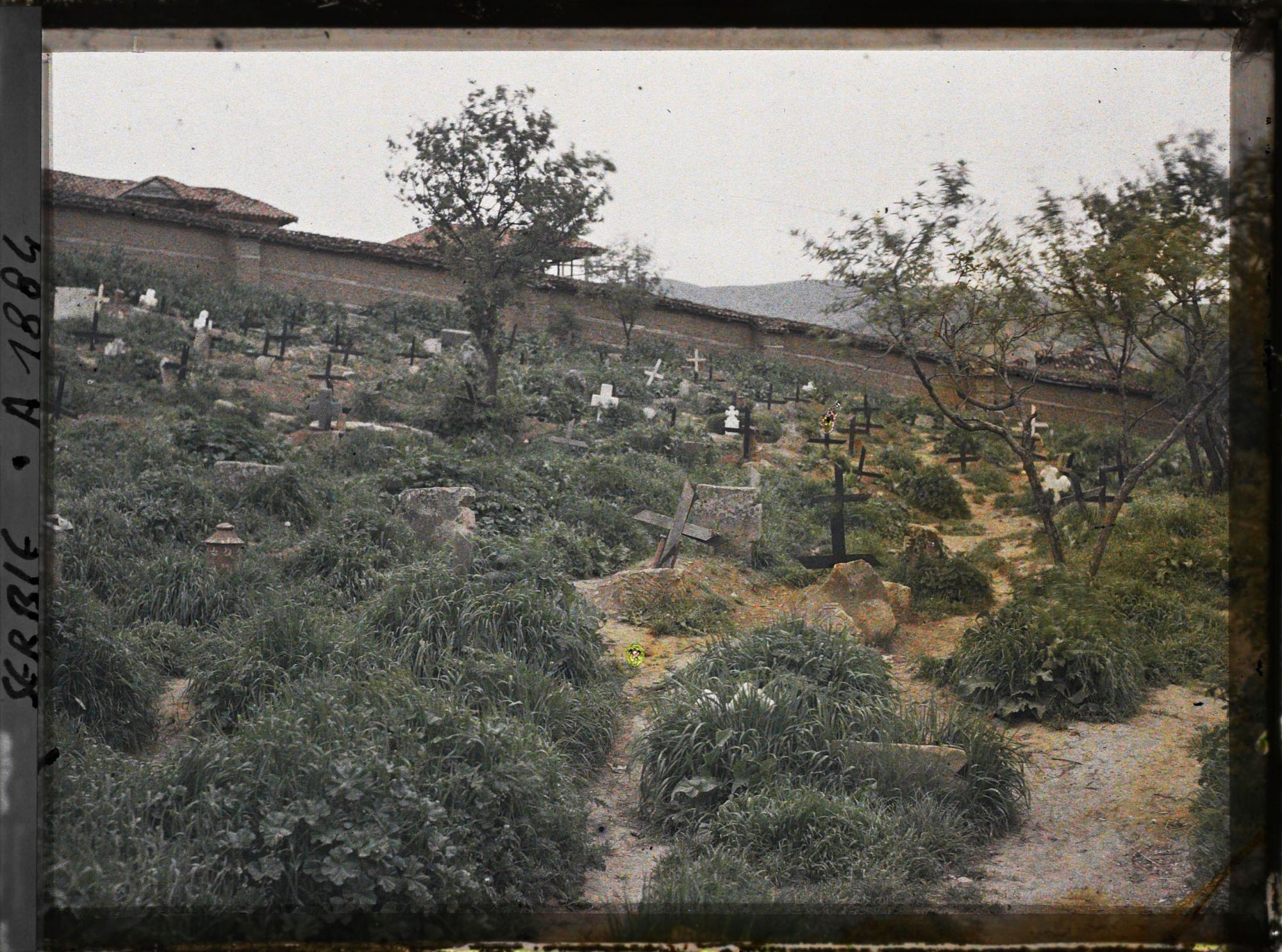 Image représentant Le cimetière serbe et les croix de soldats serbes