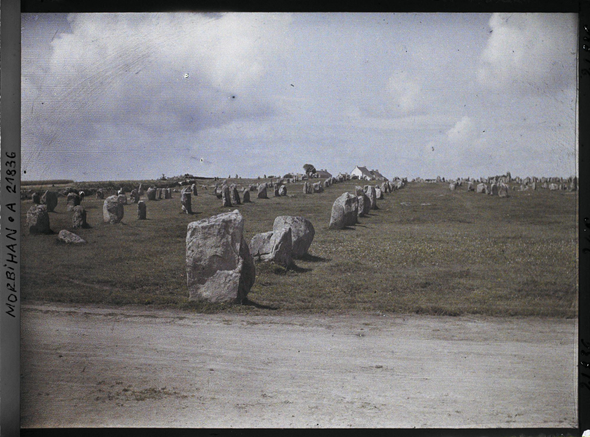 Image représentant Les alignements du Ménec, vus depuis la route d'Auray à Carnac