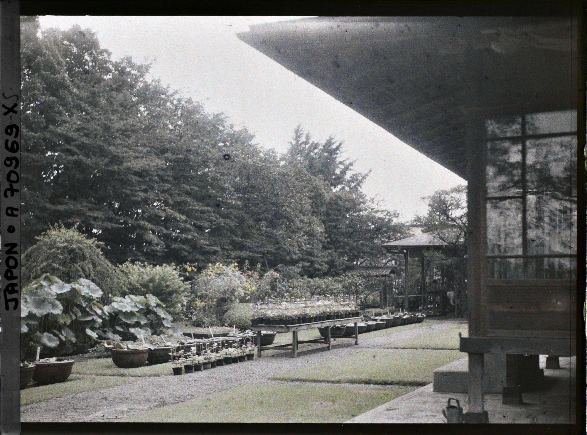 Image représentant Résidence Kitashirakawa (?) ou pépinière (?)