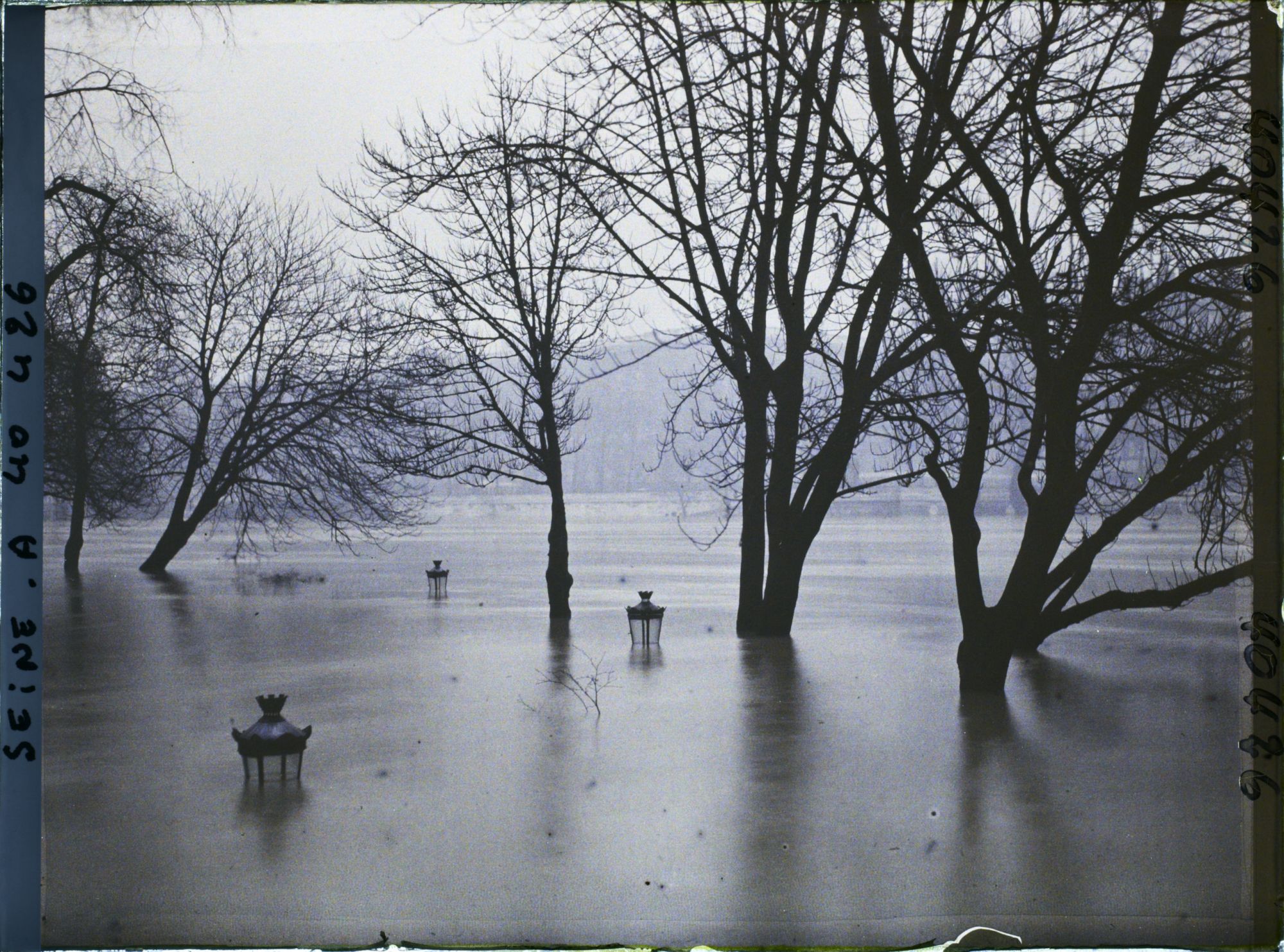Image représentant La crue de la Seine à la pointe de l'île de la Cité, square du Vert-Galant