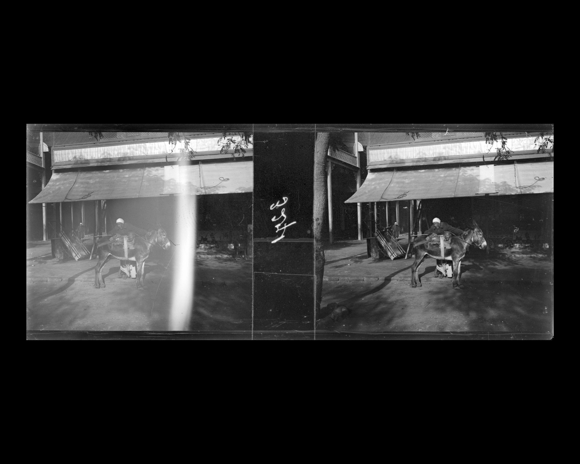 Image représentant Homme avec son âne