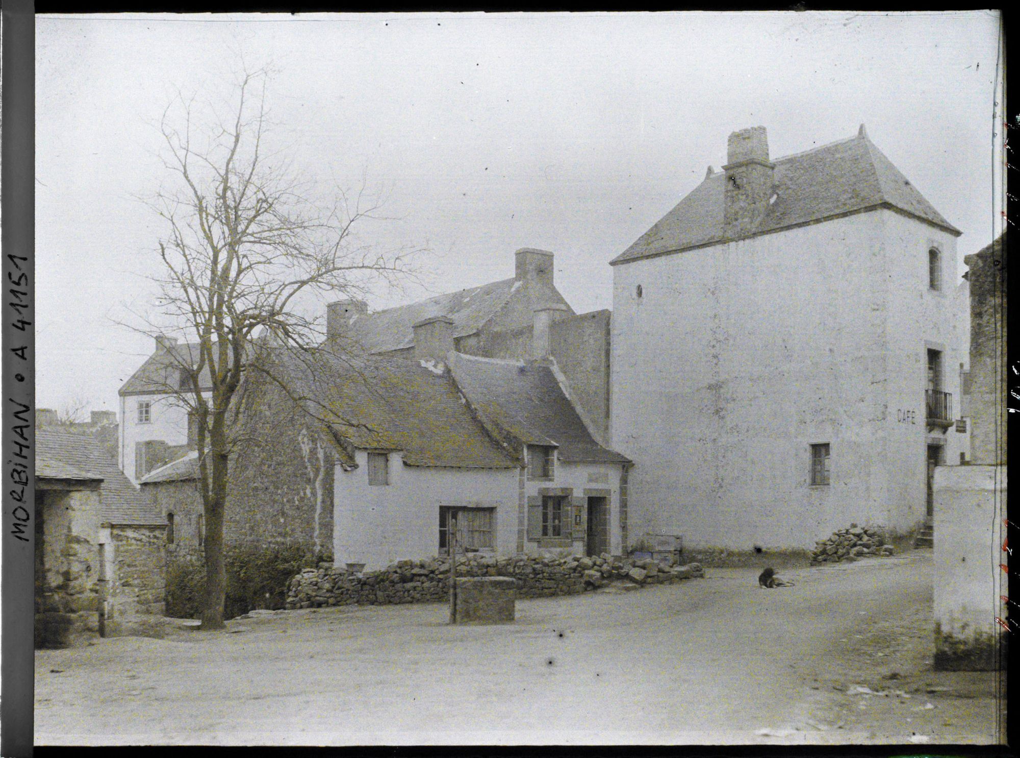 Image représentant Maisons de Port-Navalo près du port