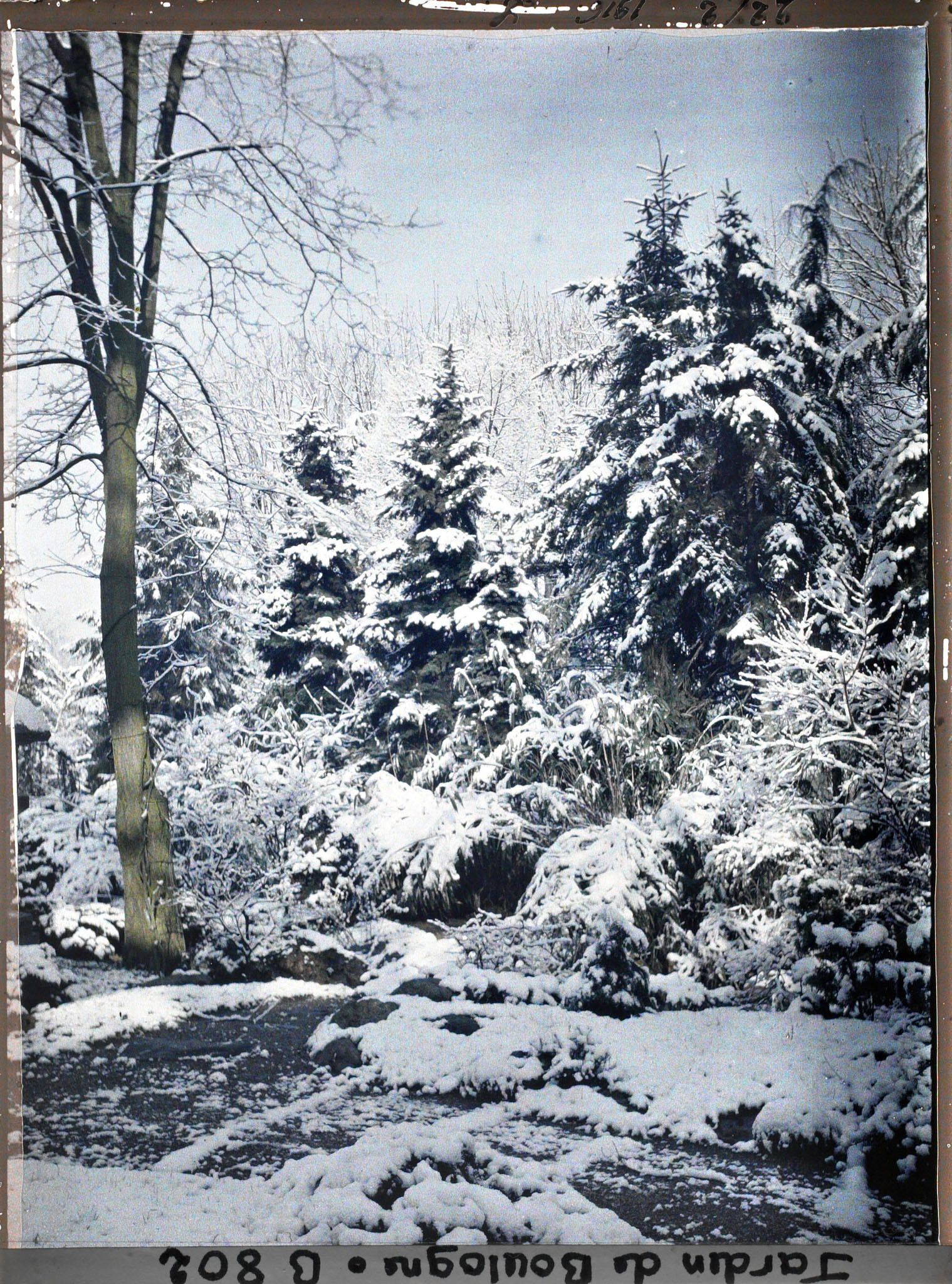 Image représentant Partie de jardin du " village japonais " sous la neige, proche de son entrée côté jardin anglais