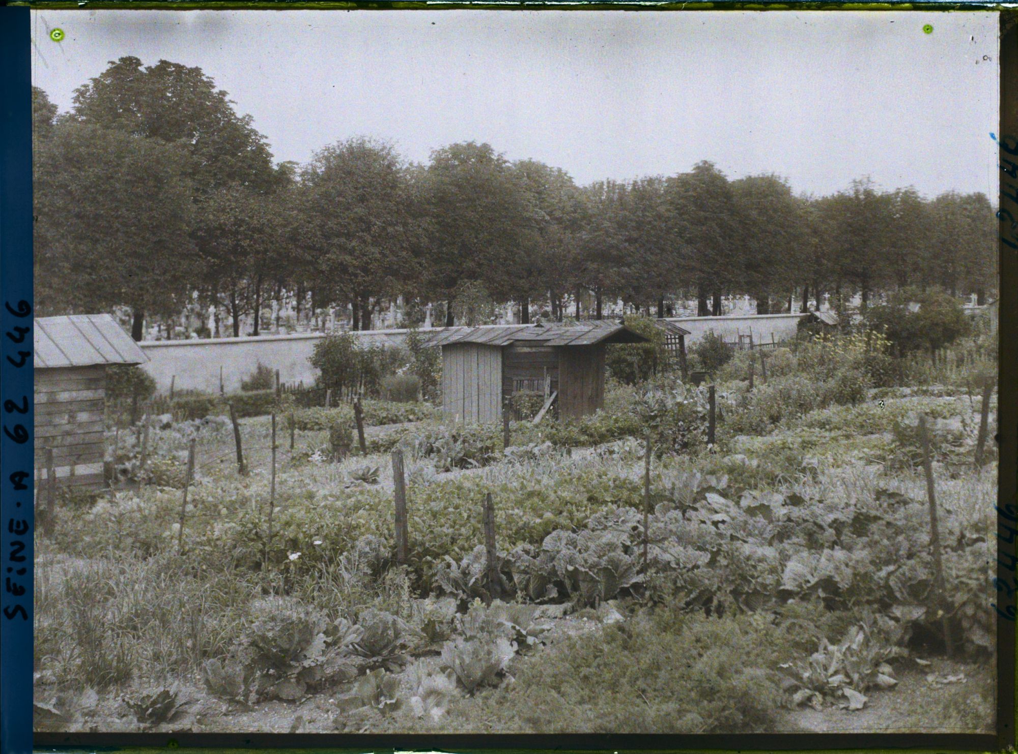 Image représentant Les jardins ouvriers à l'emplacement des anciennes fortifications porte de Clichy et le cimetière des Batignolles