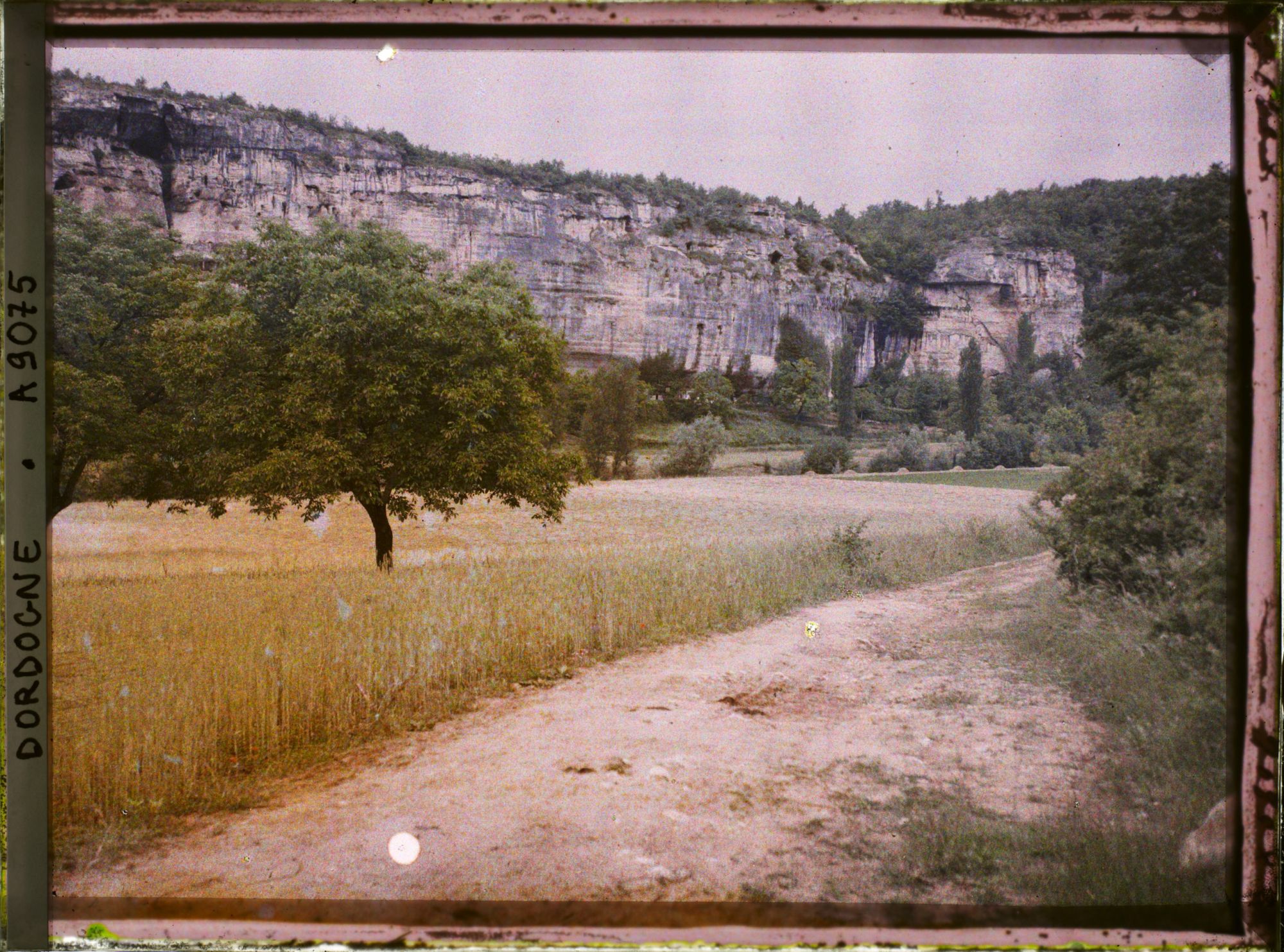 Image représentant France, Vue prise de la rive droite de la Vézère s/ la gorge d'Enfer; au 1er plan blé mêlé de coquelicots