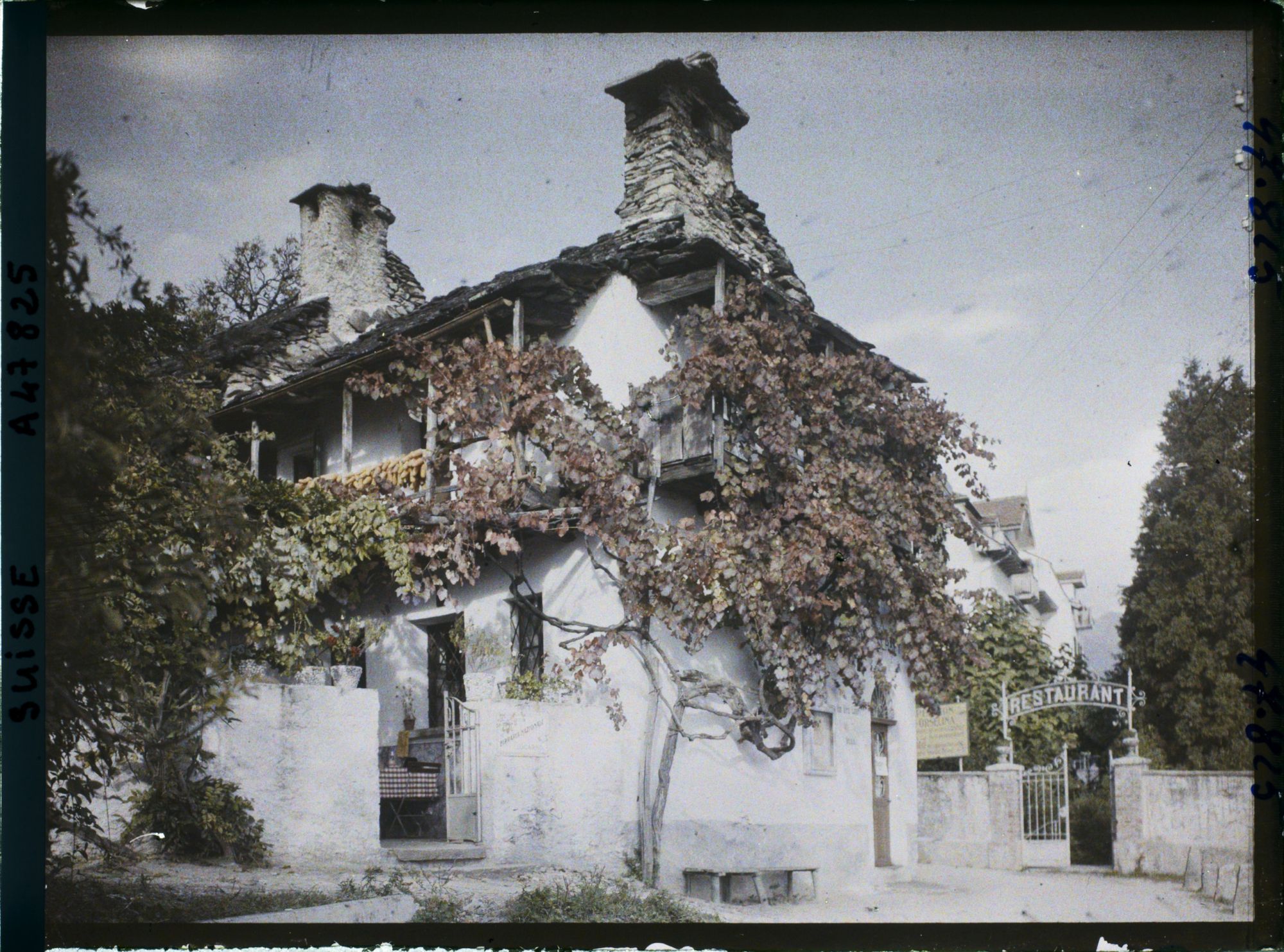 Image représentant Restaurant et maisons typiques tessinoises