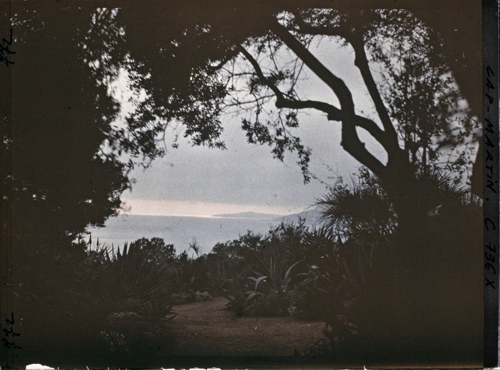 Image représentant Vue sur la baie depuis le jardin