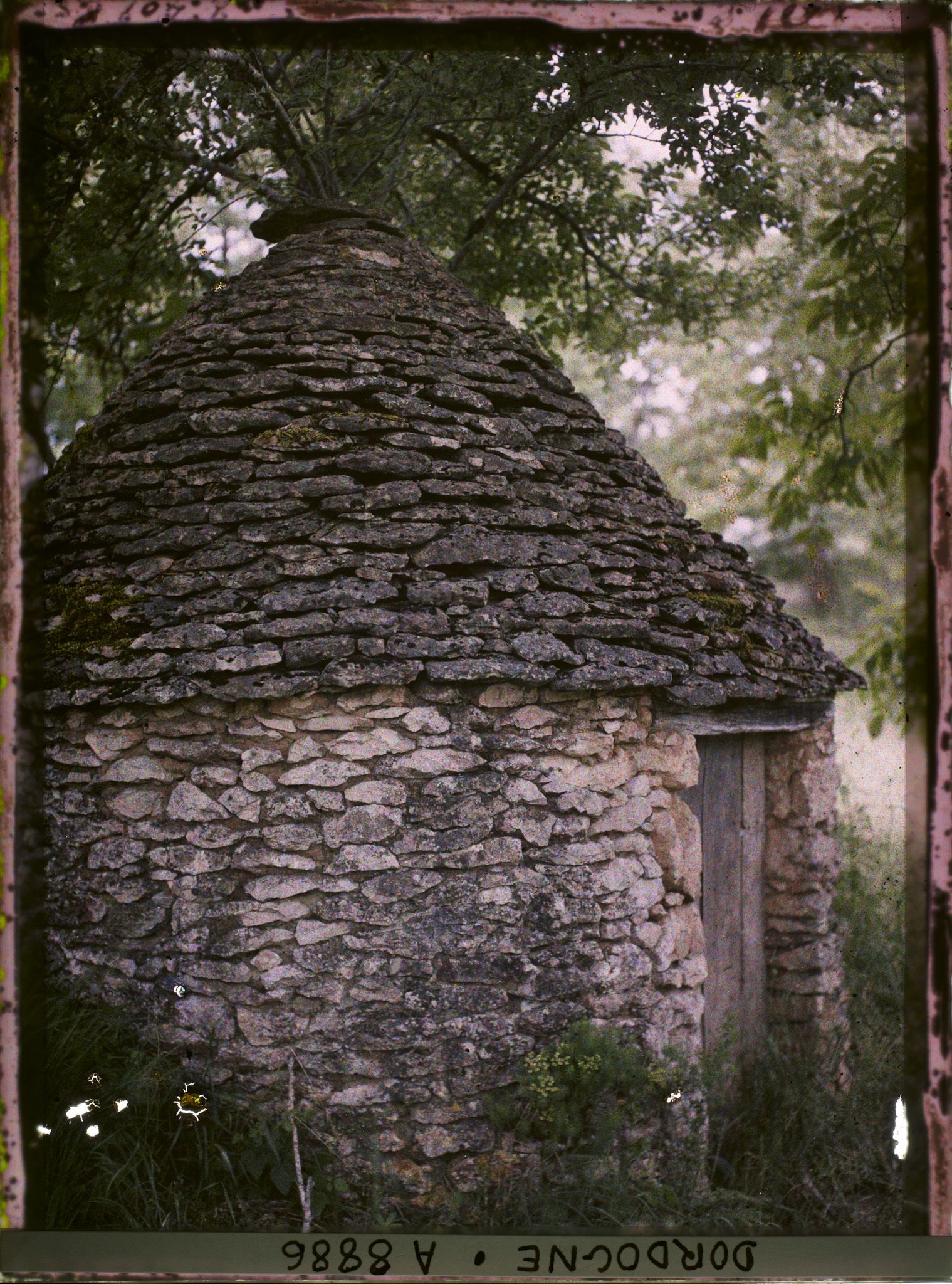 Image représentant France, St Léon, Sur Vézère petite construction ronde avec un pommier et noyer