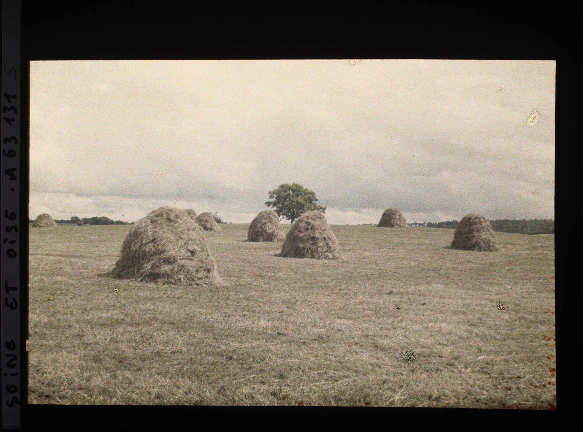 Image représentant Ile de France, Magny en Vexin , Prairie fauchée