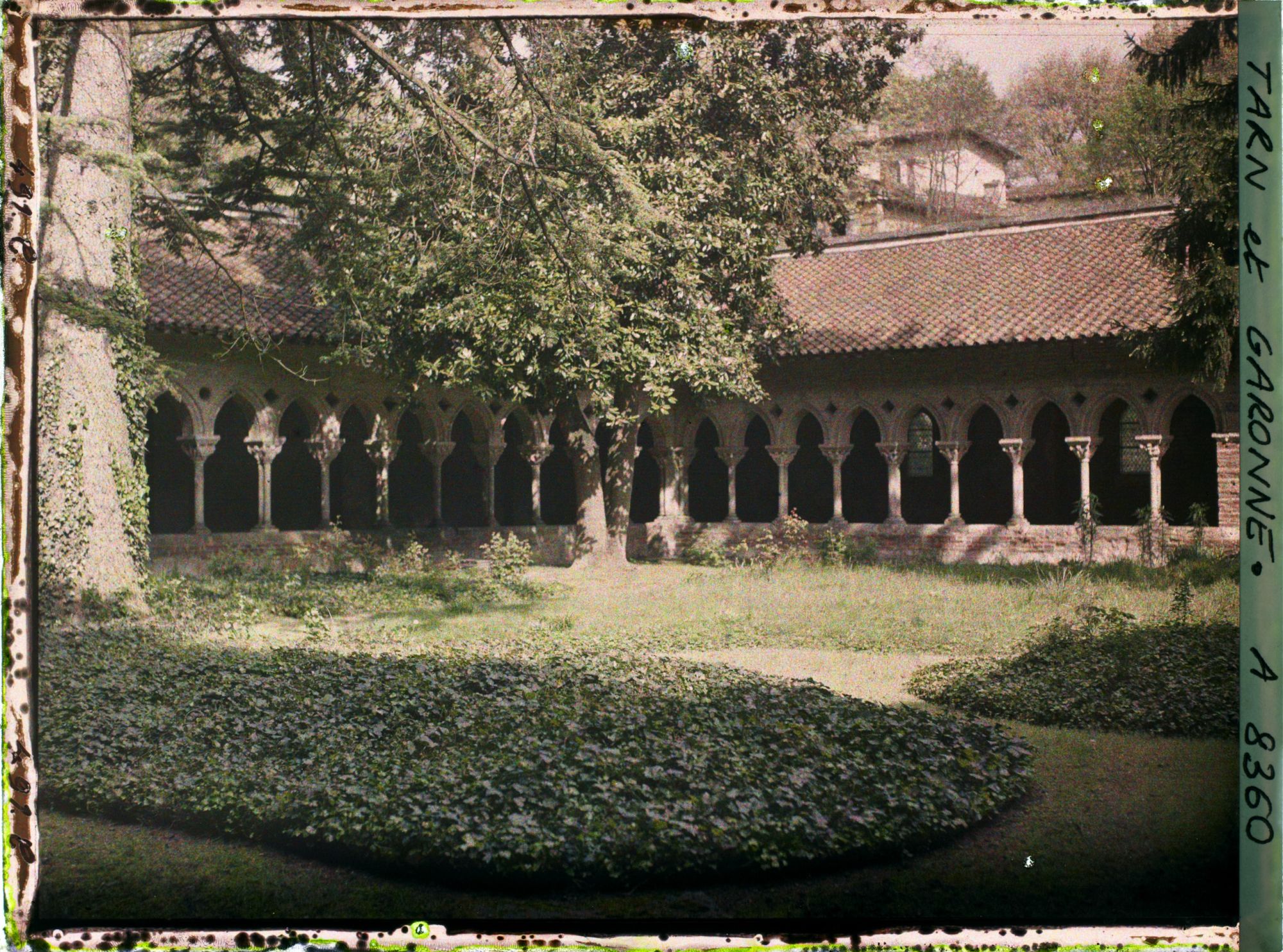 Image représentant Le cloître de l'abbaye Saint-Pierre