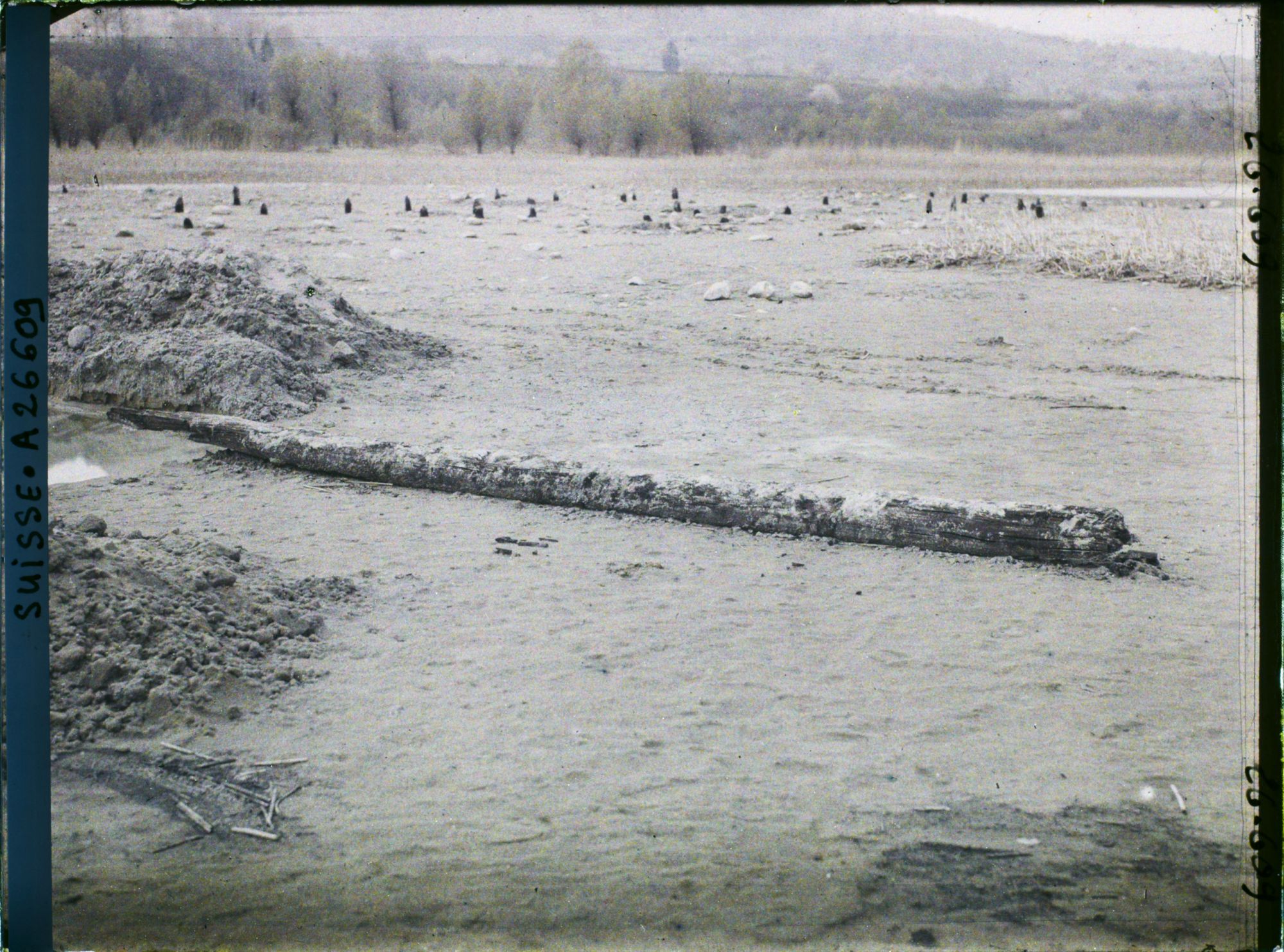 Image représentant Site palafittique préhistorique des Alpes, pieux en bois visibles lors de la baisse des eaux après la grande sécheresse de 1921 sur le lac de Neuchâtel