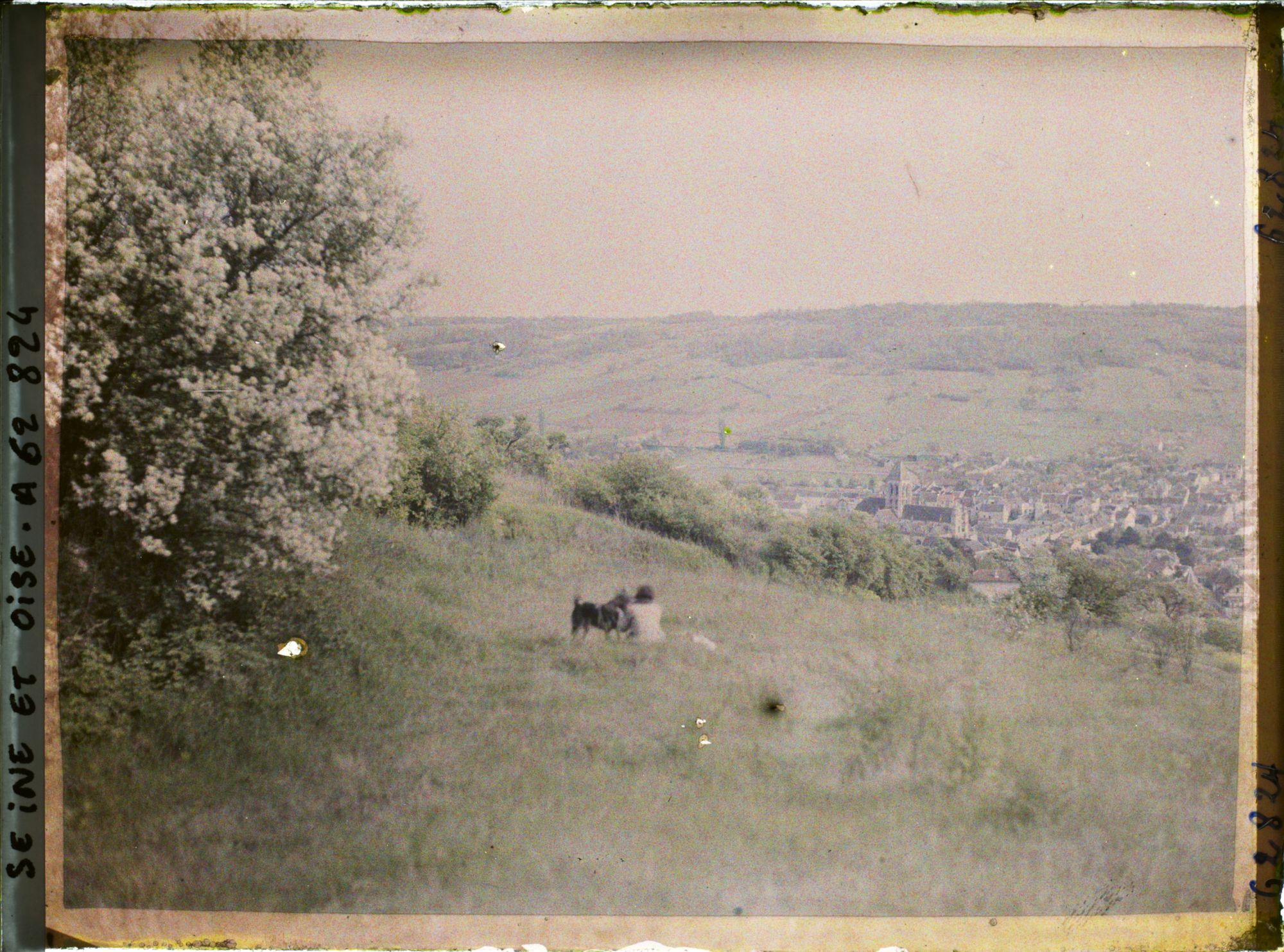 Image représentant Ile de France, Vetheuil, Pente nord de la vallée de la Seine